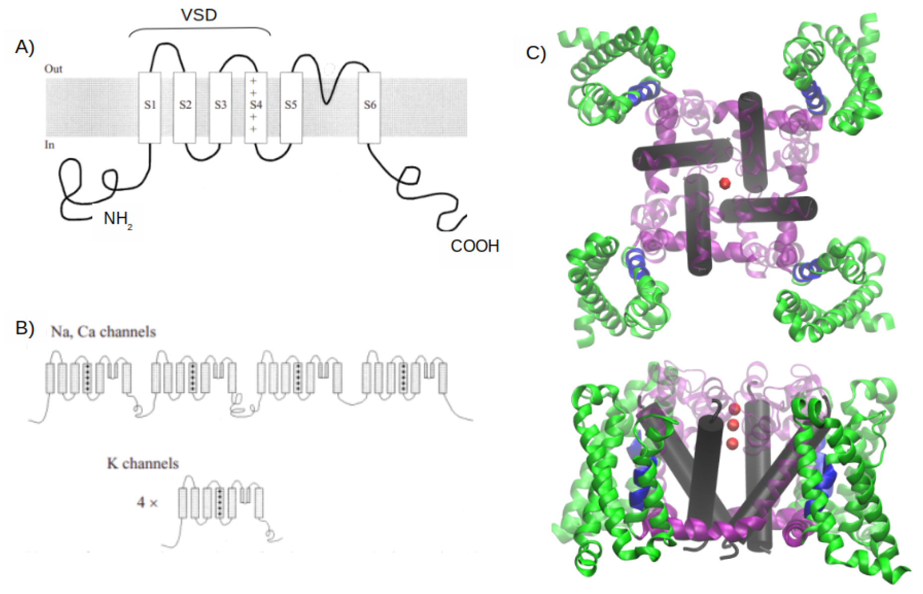 Preprints 72270 g001