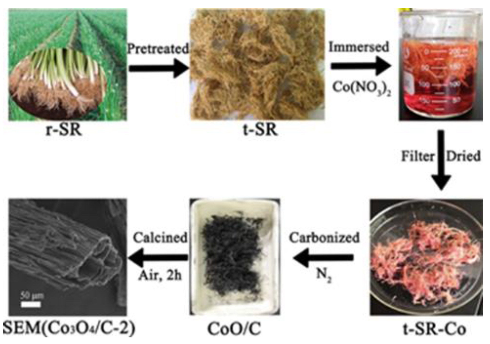 Preprints 80585 g003