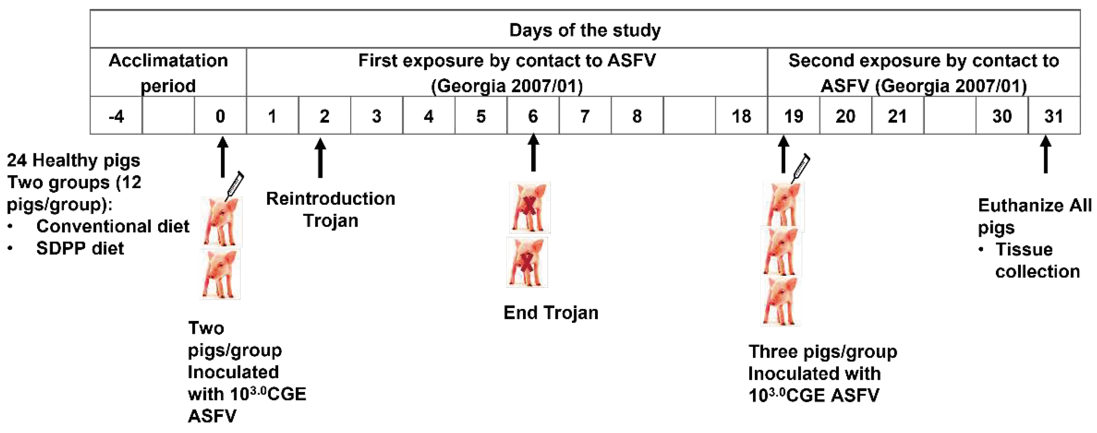 Preprints 67856 g001