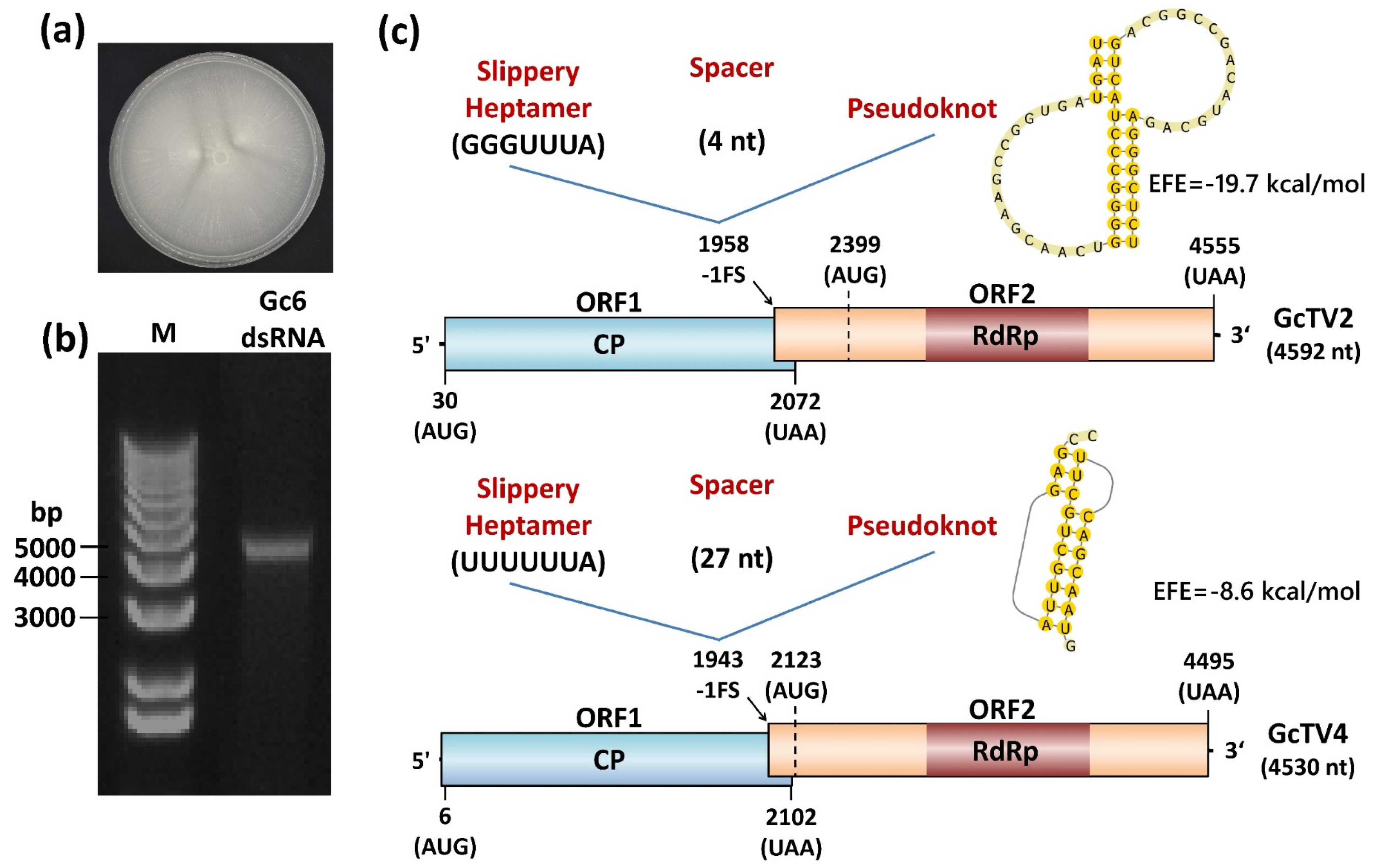 Preprints 85057 g001