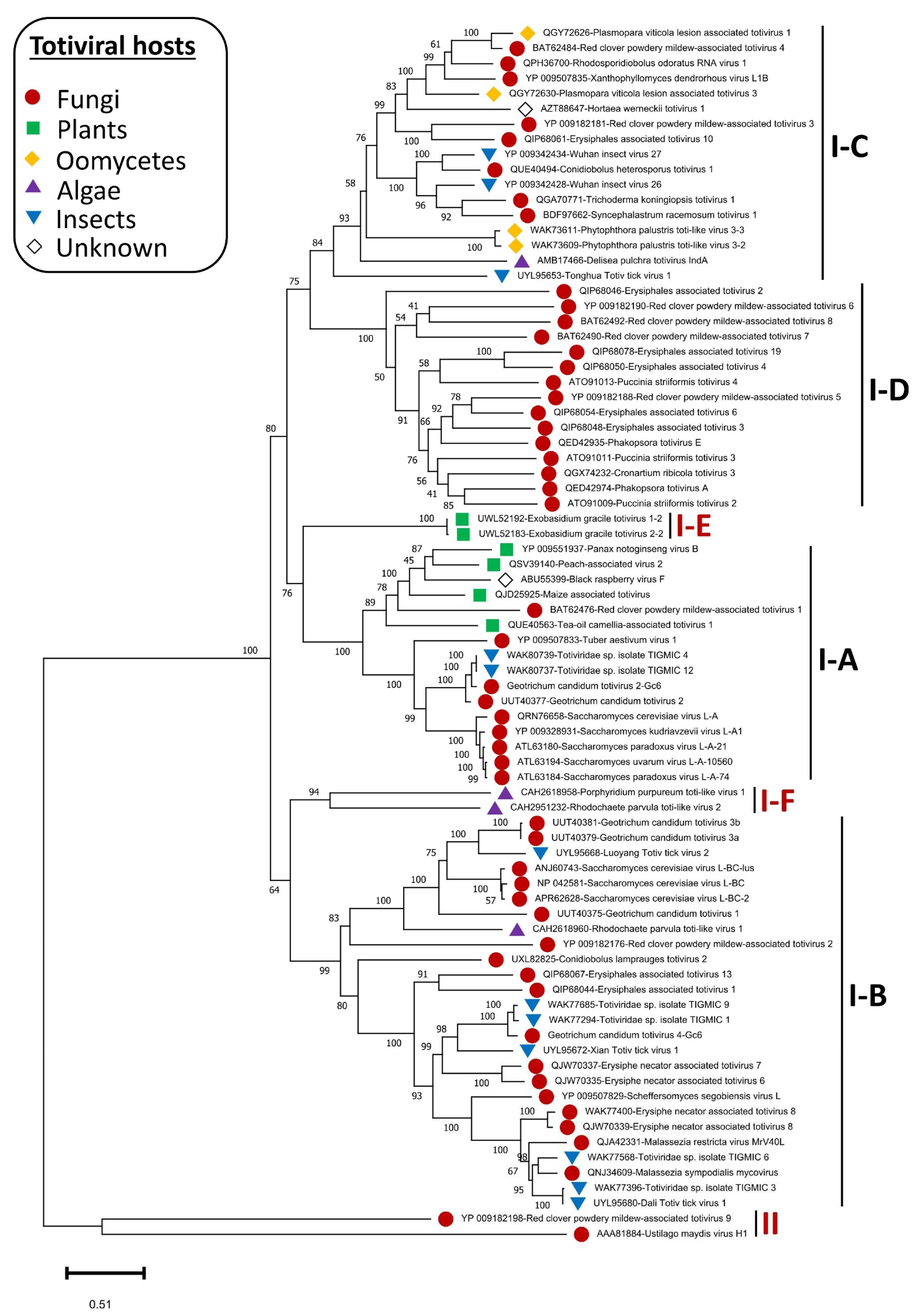 Preprints 85057 g003