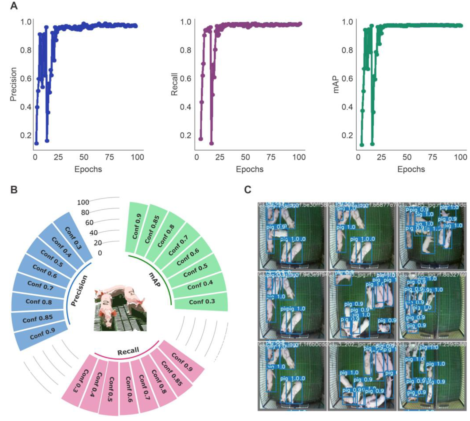 Preprints 106006 g008