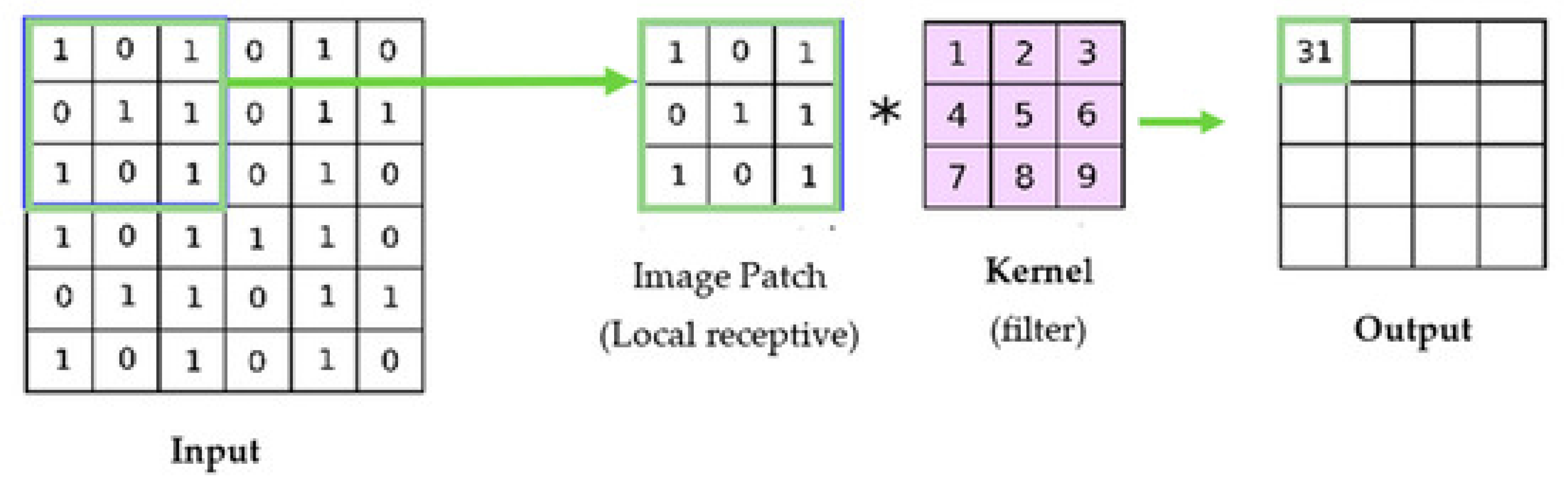 Preprints 110263 g002