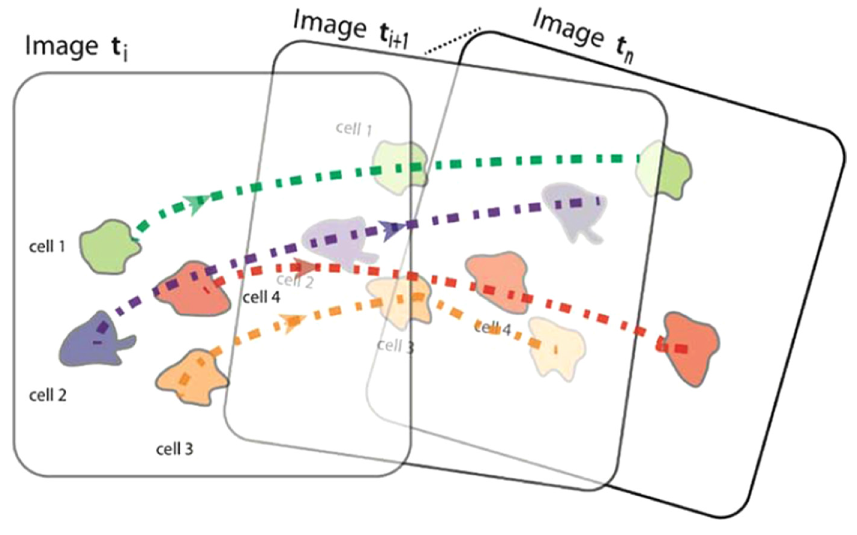 Preprints 110263 g007