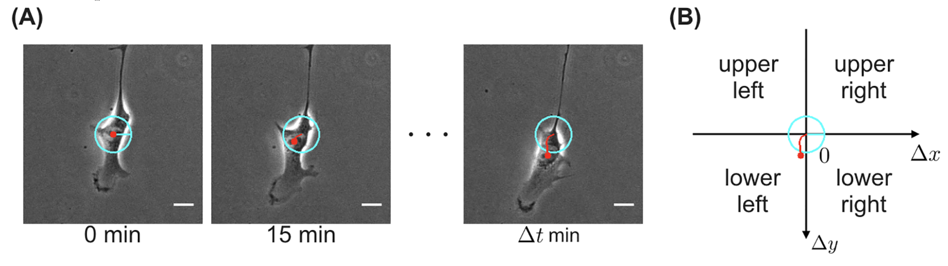 Preprints 110263 g008