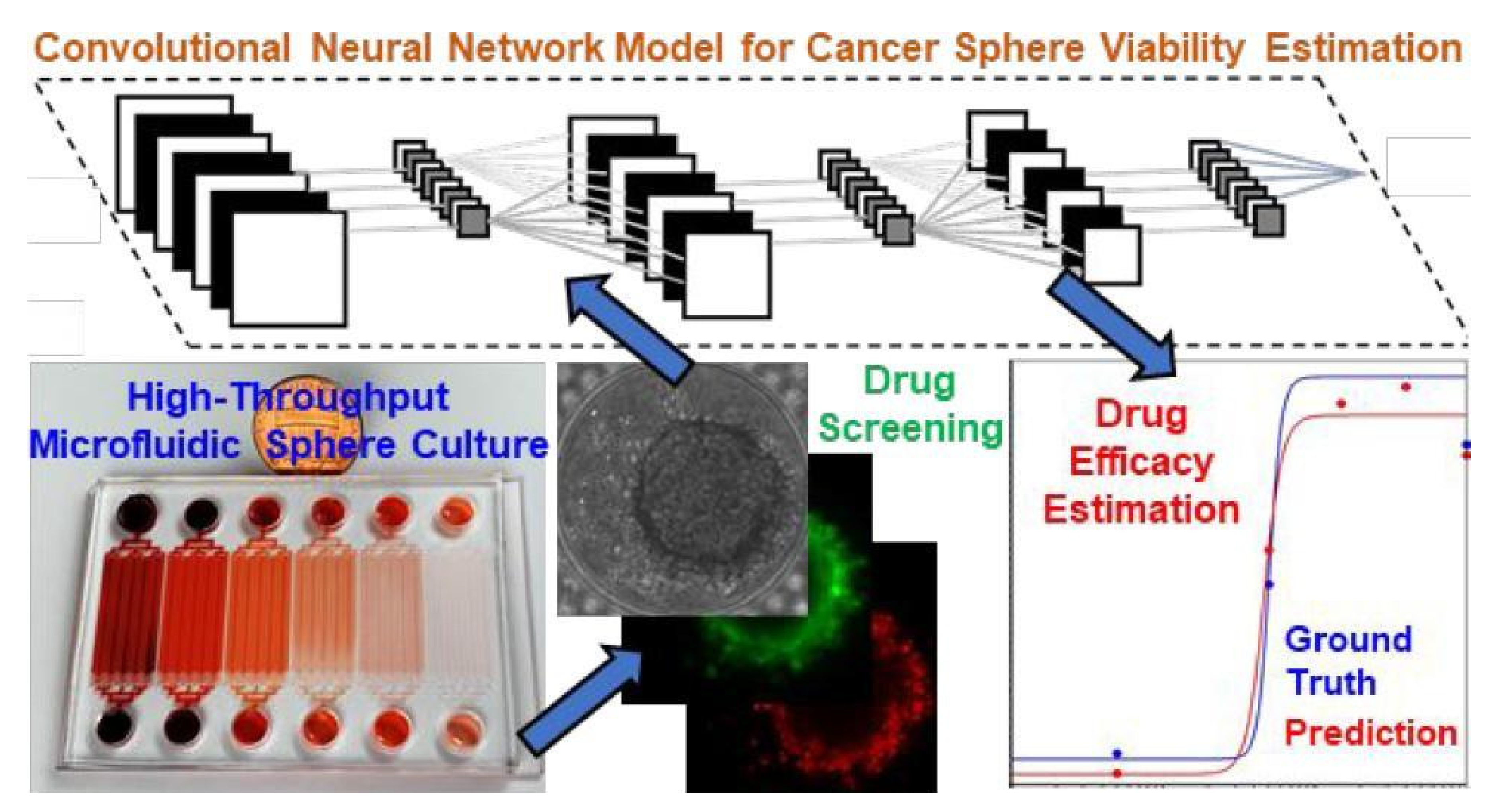 Preprints 110263 g010