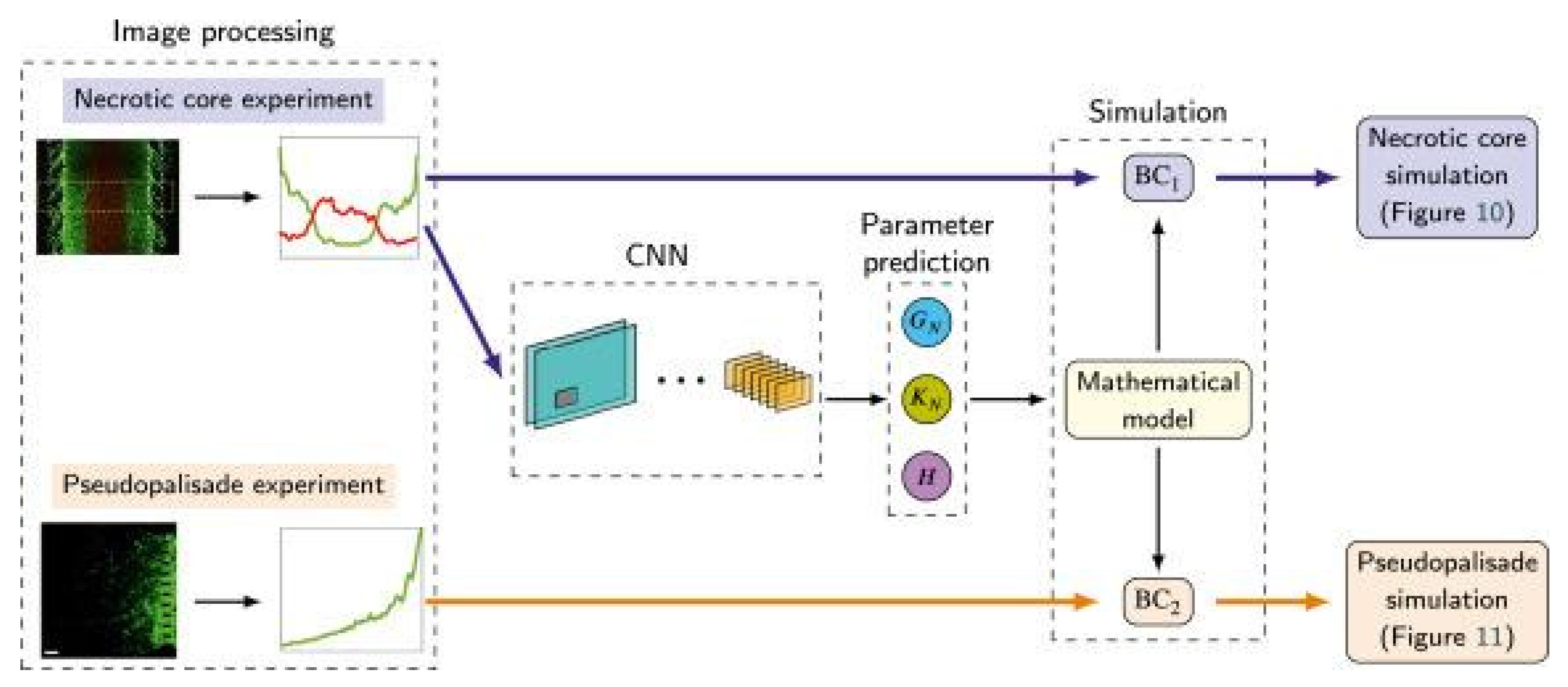 Preprints 110263 g011