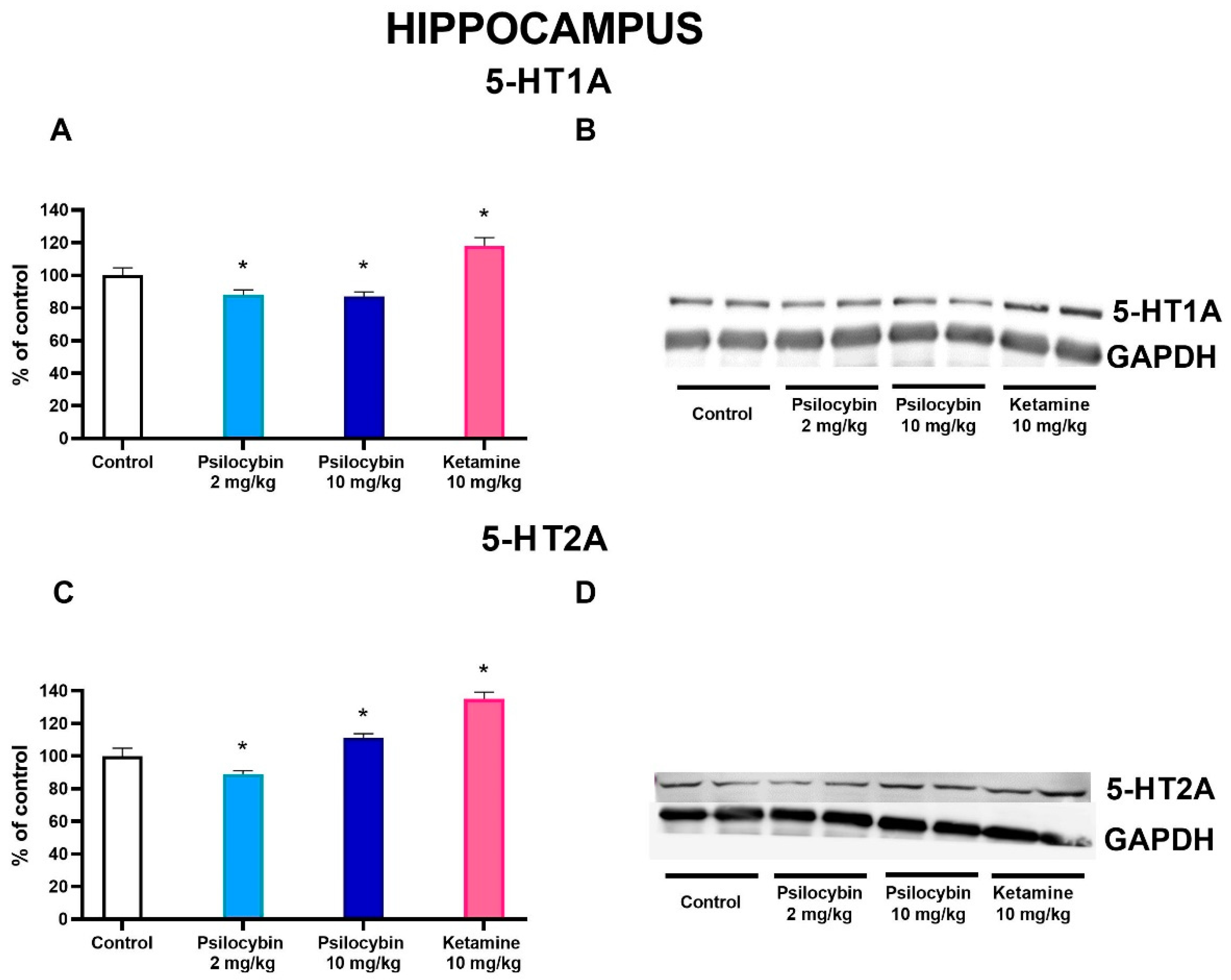 Preprints 85927 g005