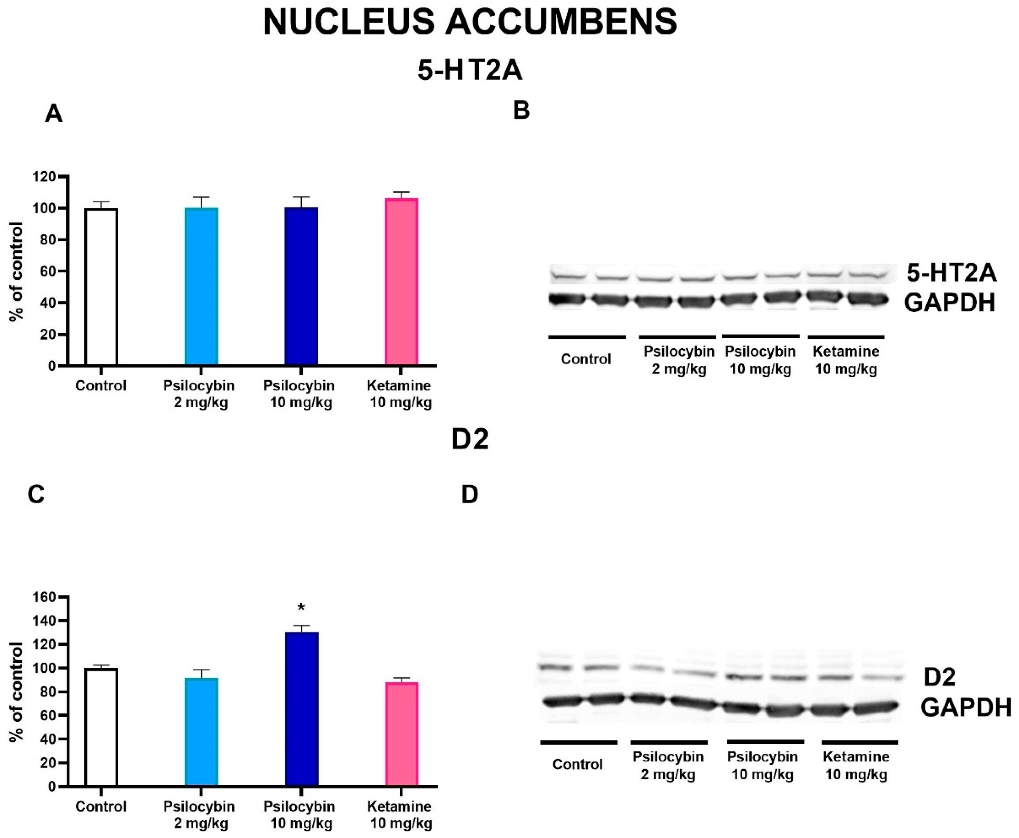 Preprints 85927 g006