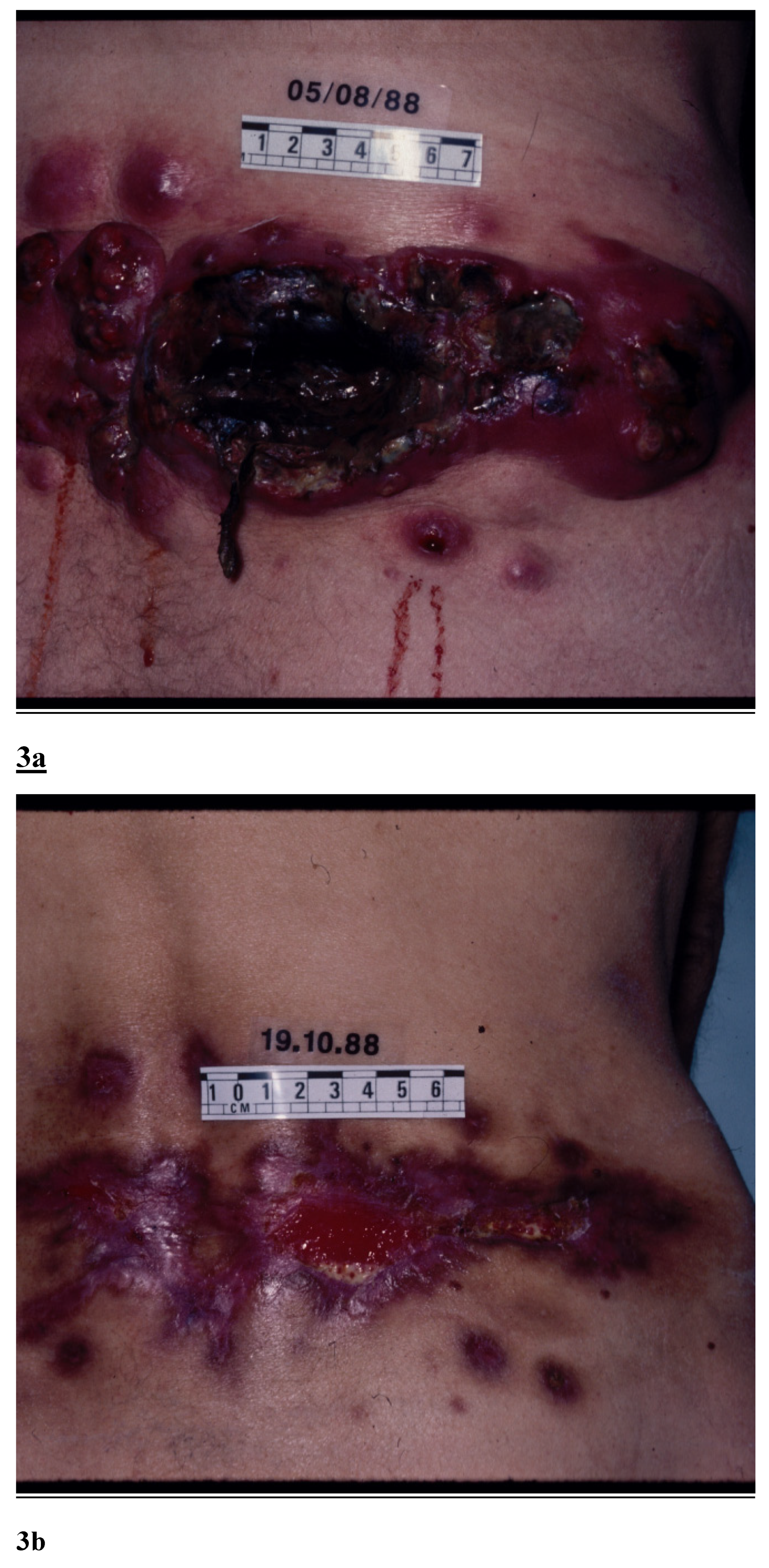 Preprints 117396 g003