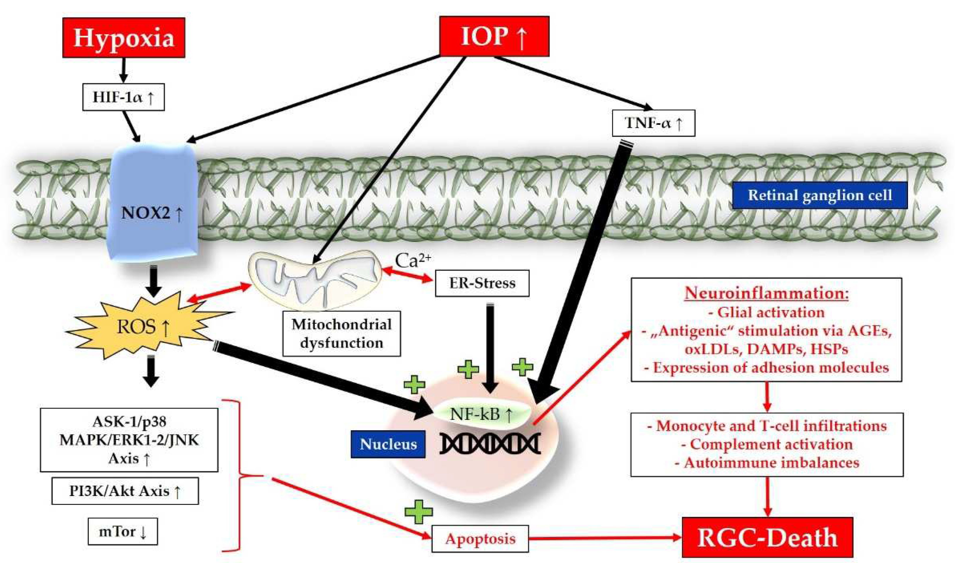 Preprints 79689 g004