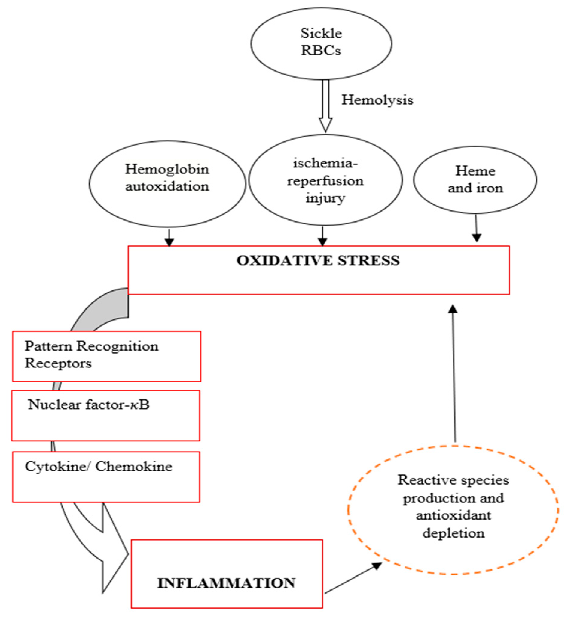 Preprints 79494 g002