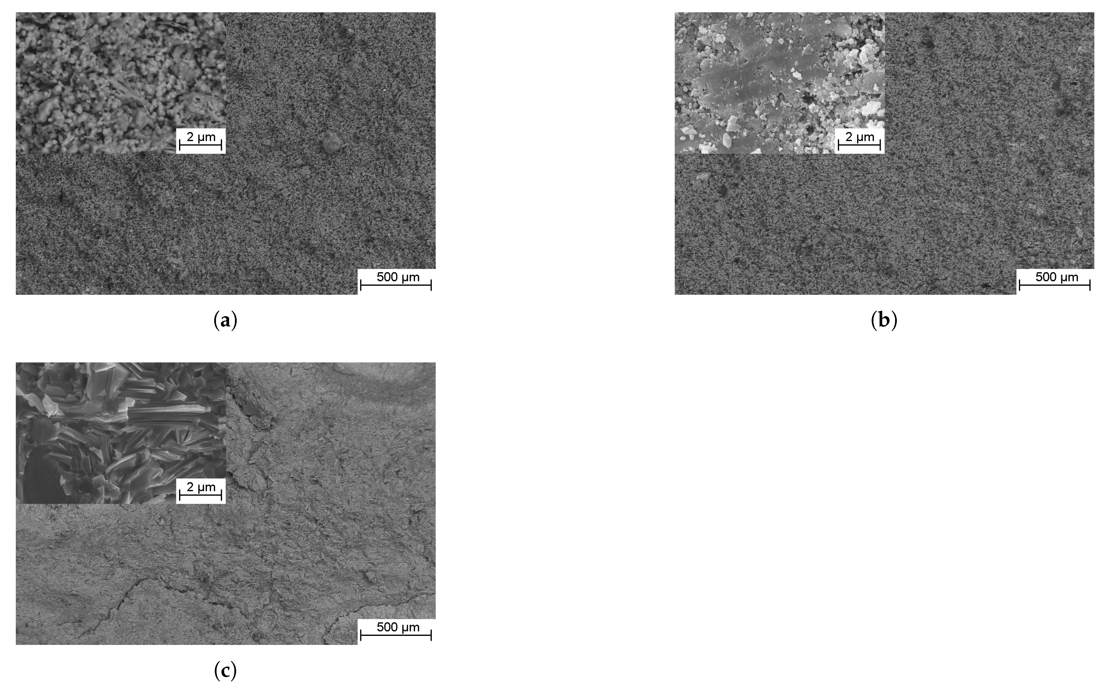 Preprints 105452 g006