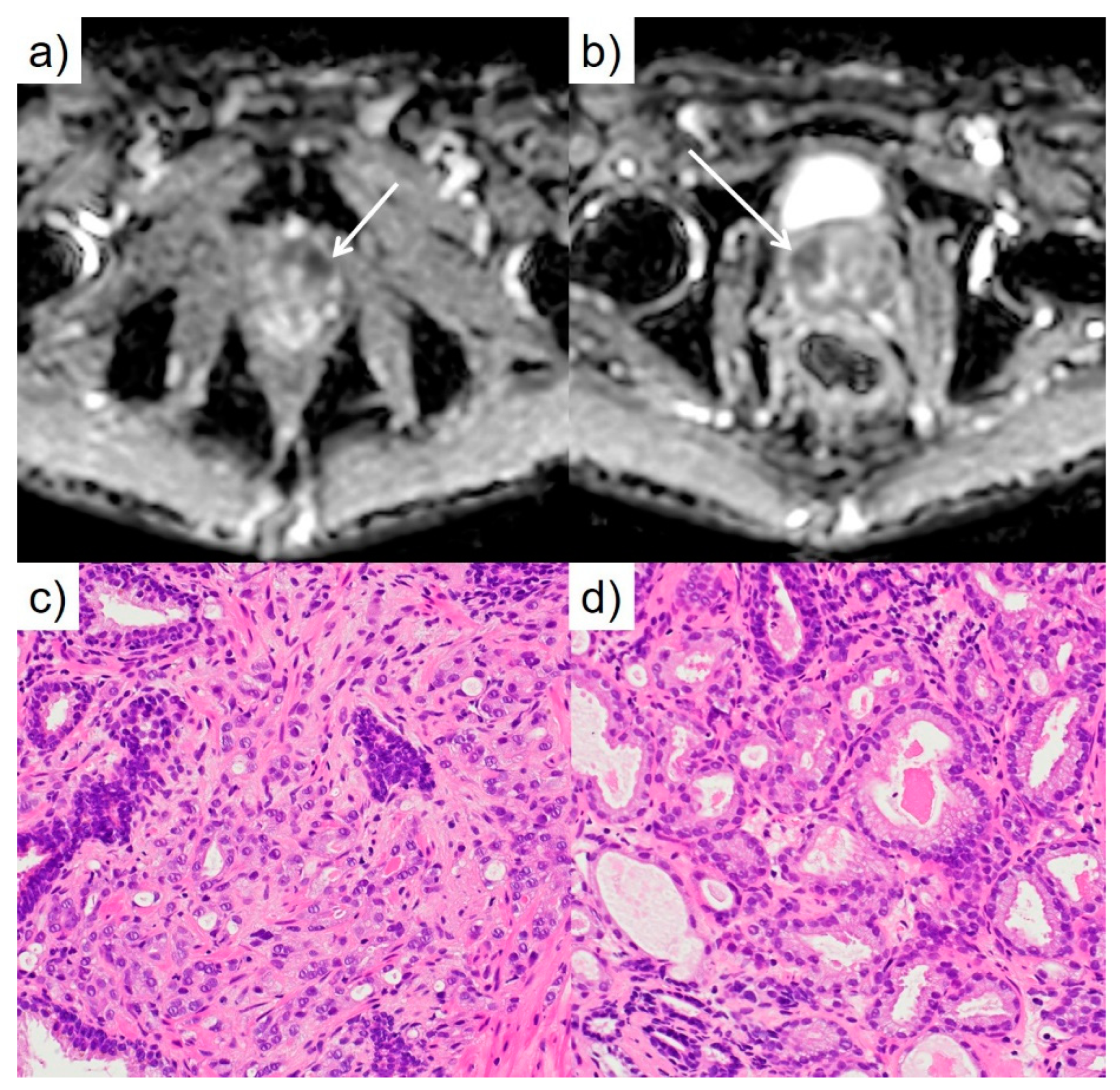 Preprints 86586 g001