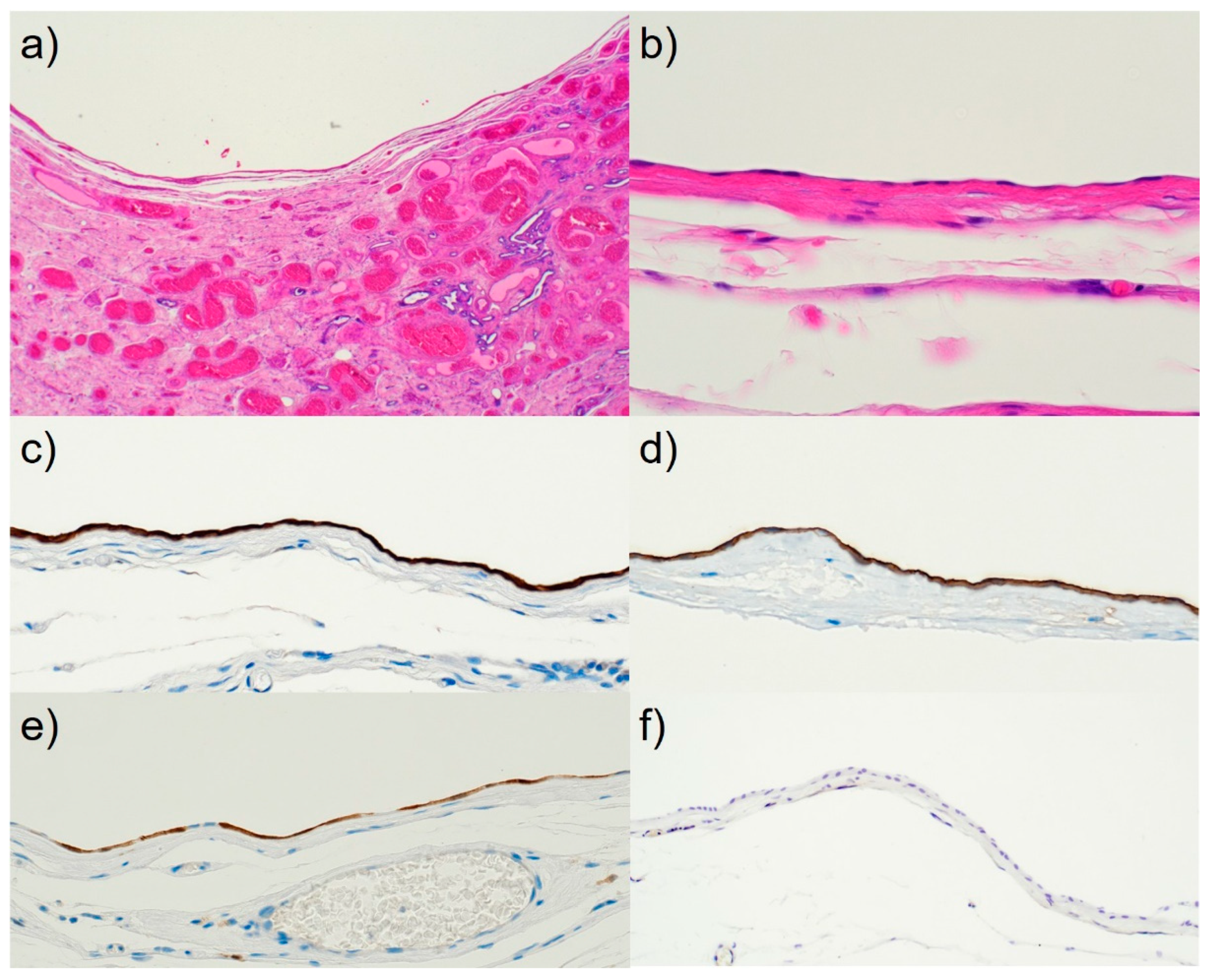 Preprints 86586 g003