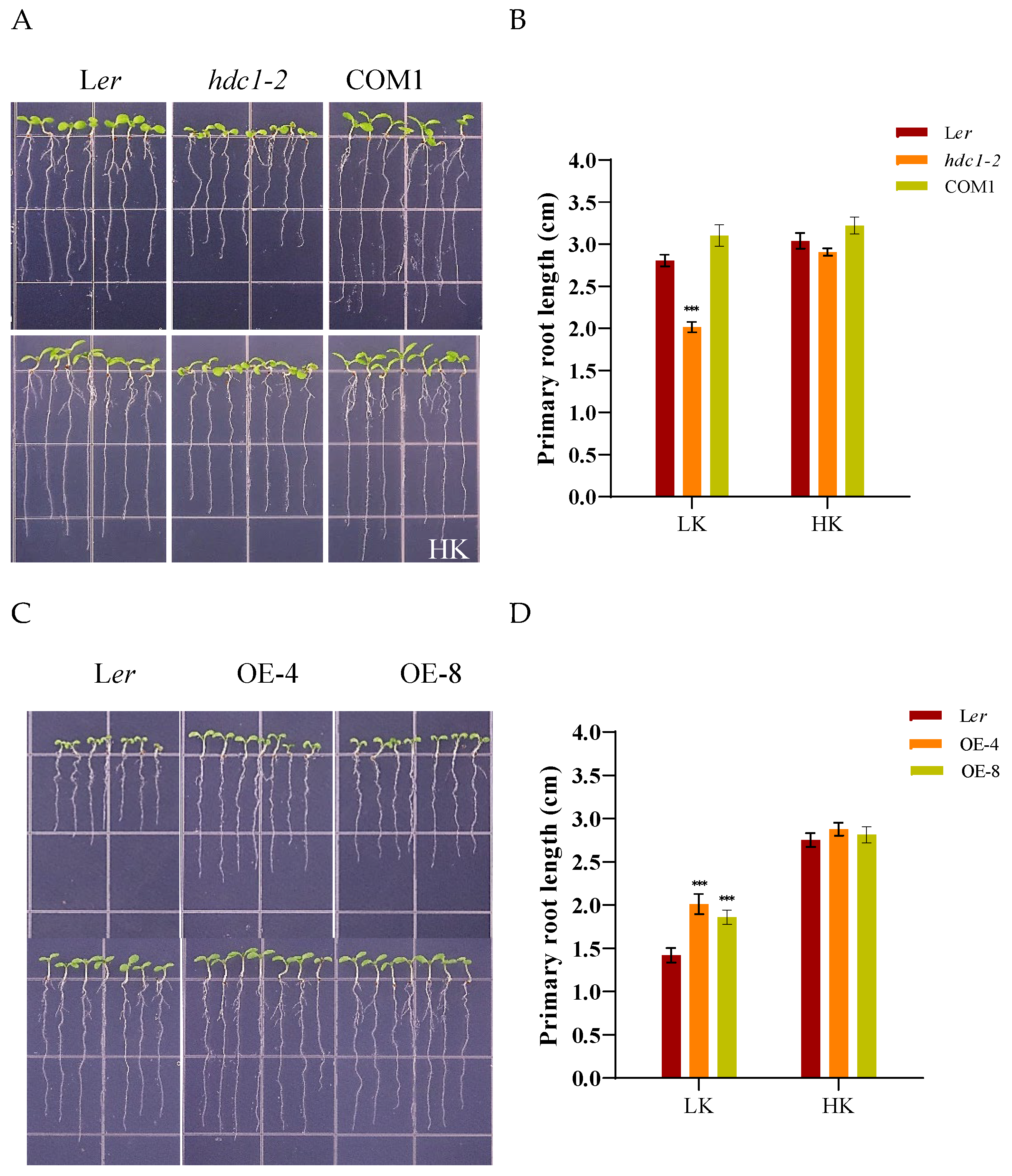 Preprints 121038 g001