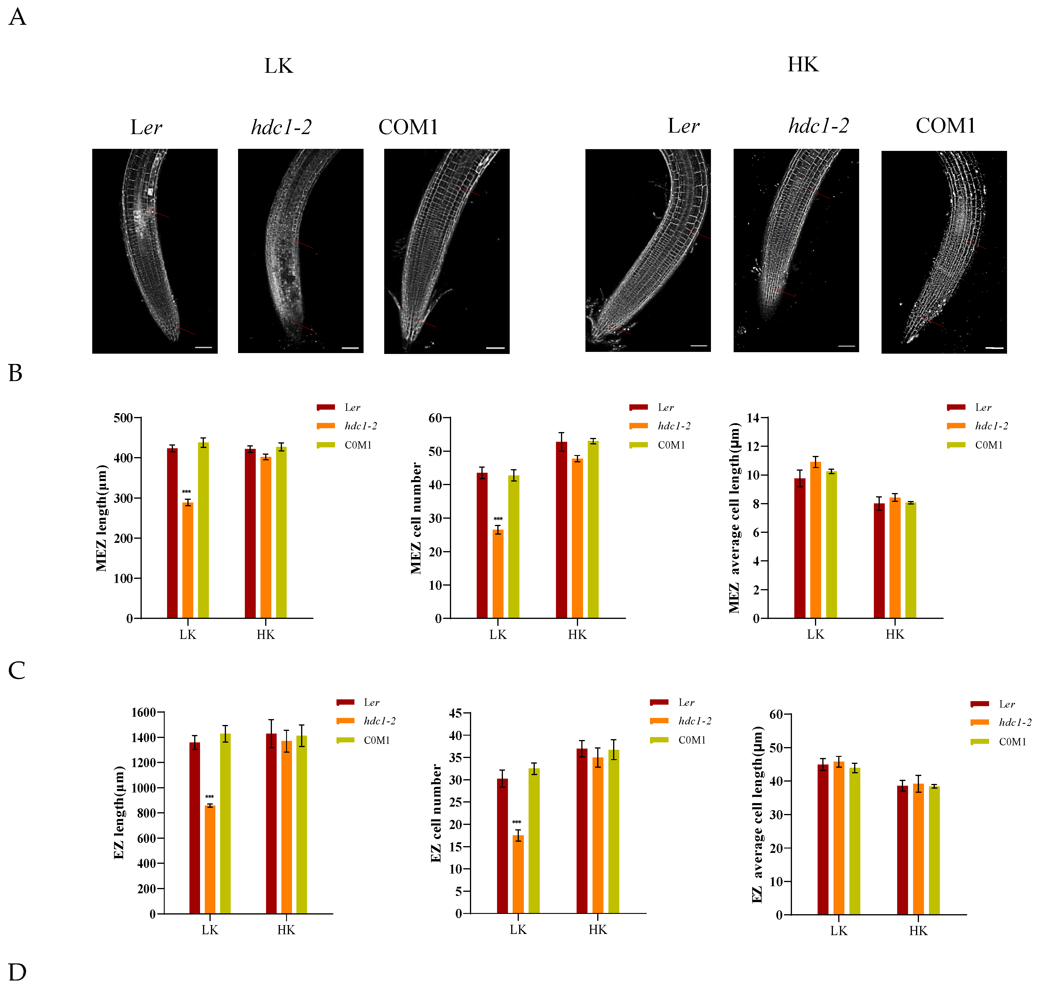 Preprints 121038 g002a