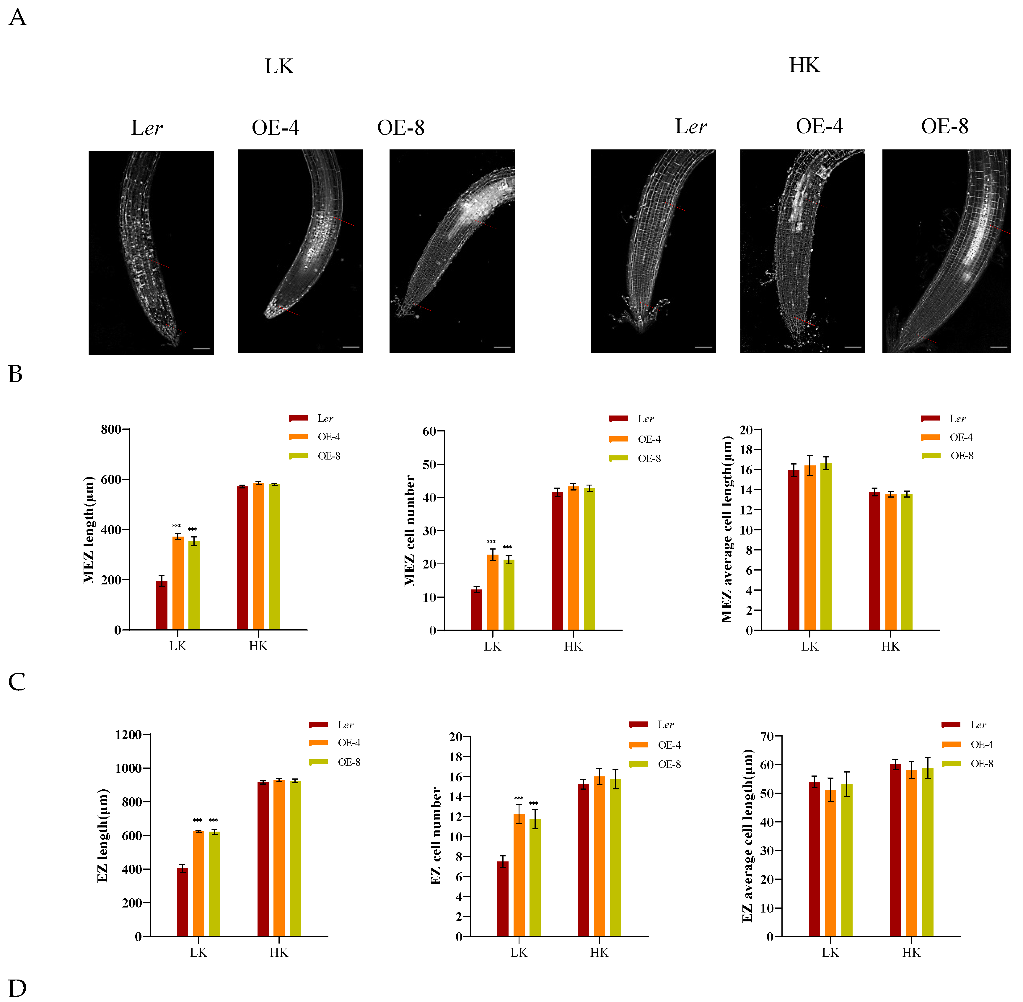 Preprints 121038 g003a