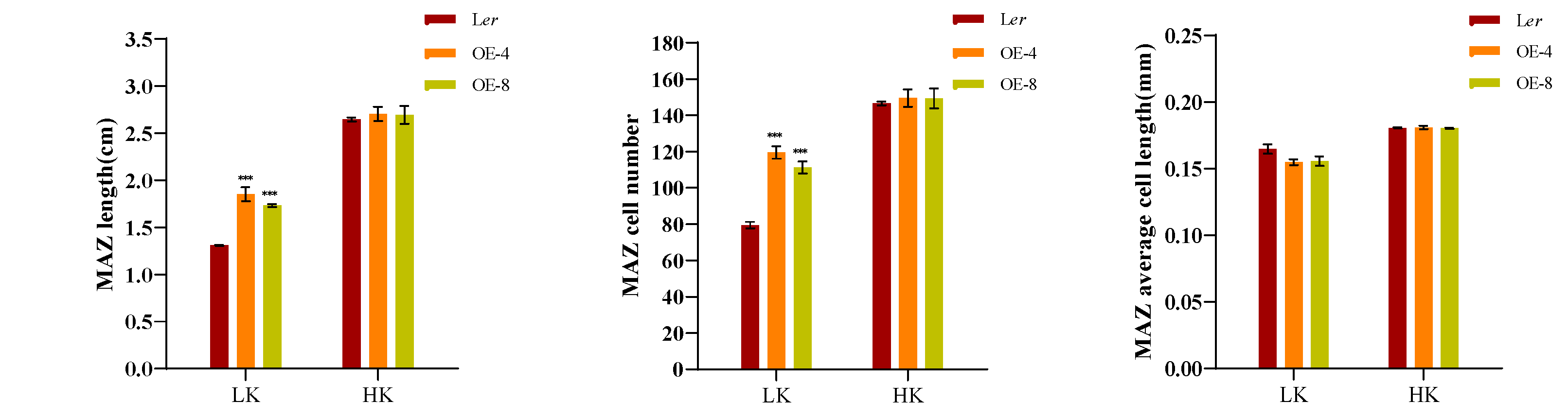 Preprints 121038 g003b