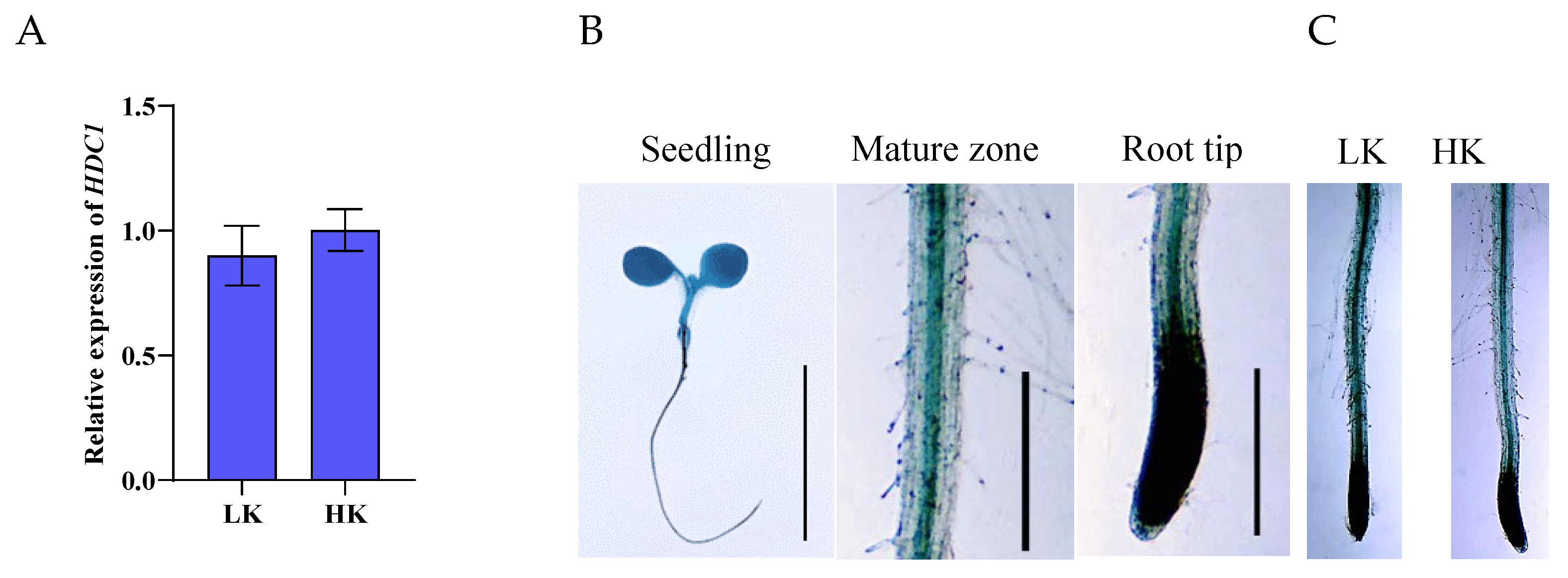 Preprints 121038 g004