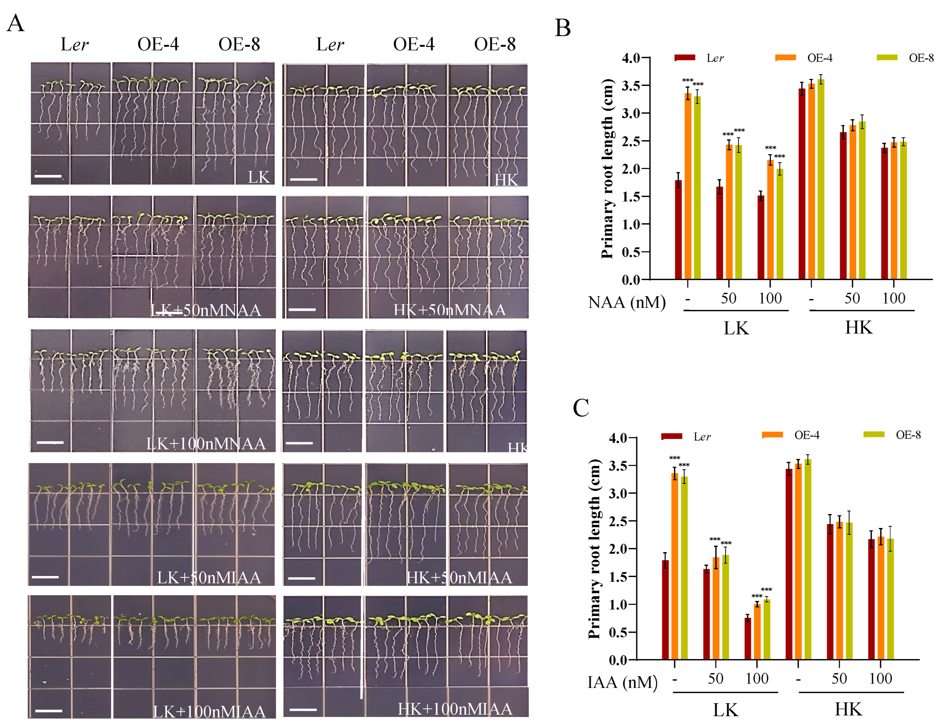 Preprints 121038 g006