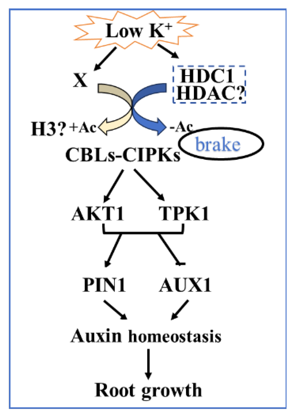 Preprints 121038 g009