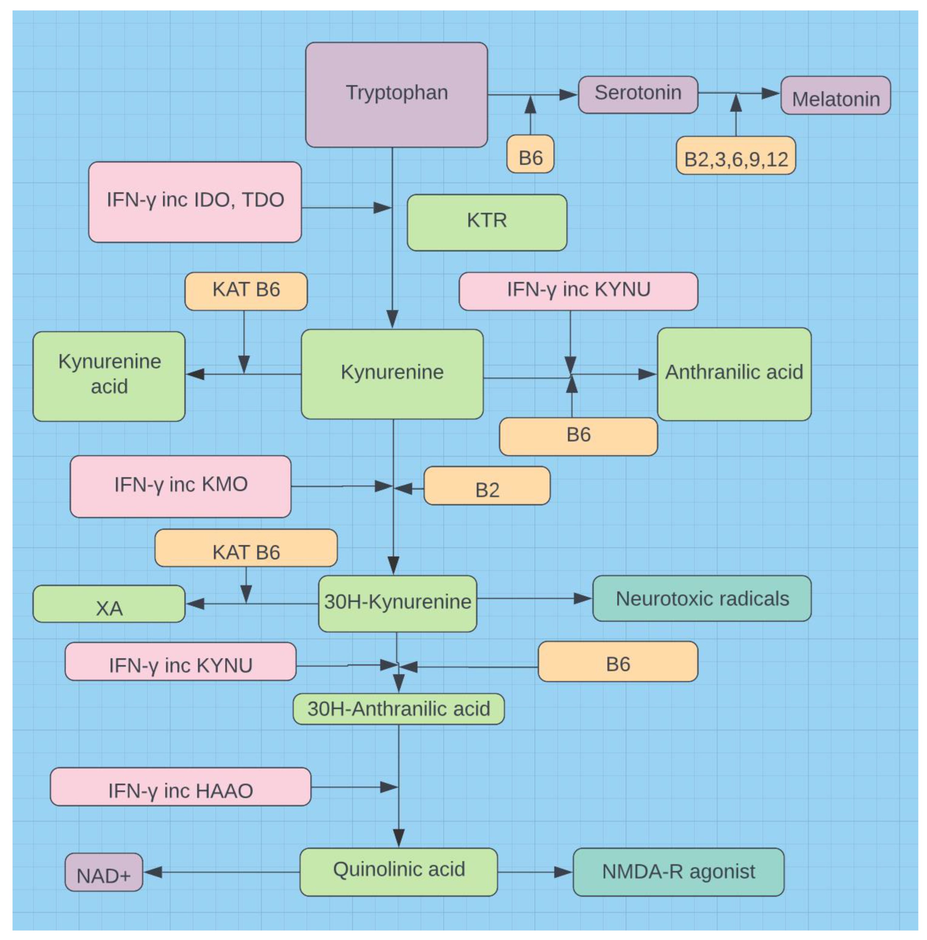 Preprints 94688 g001