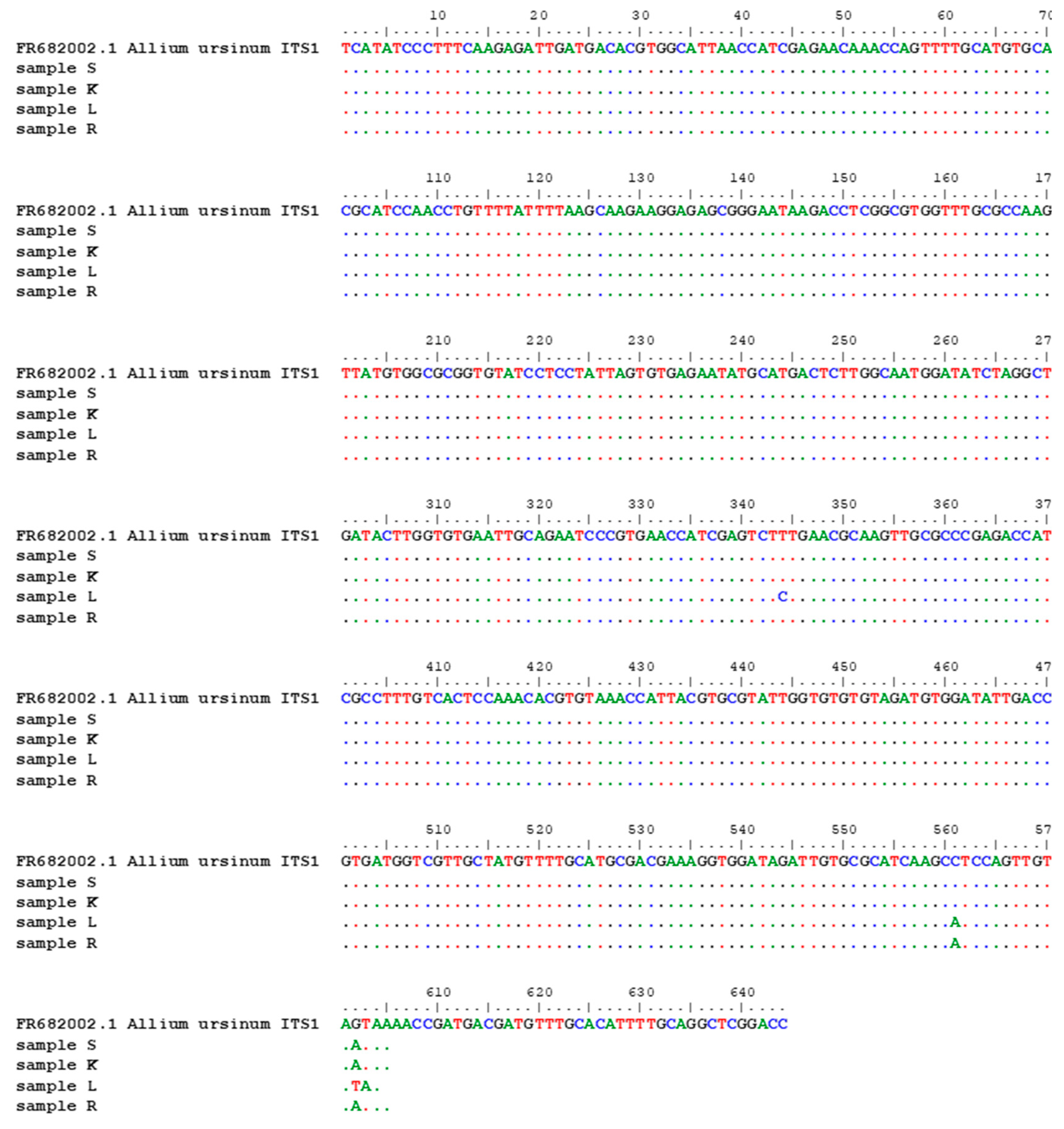 Preprints 90084 g001