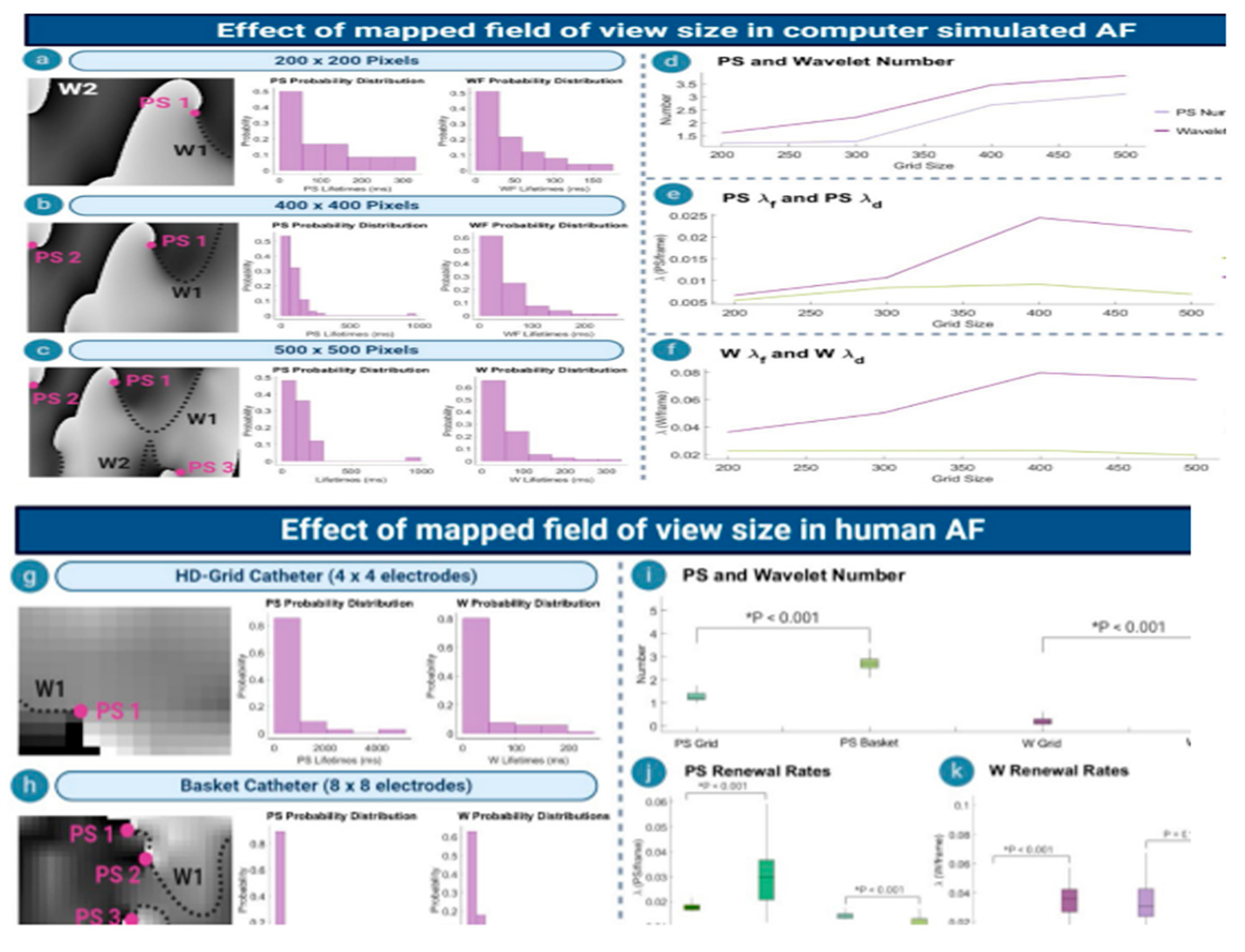 Preprints 97456 g003