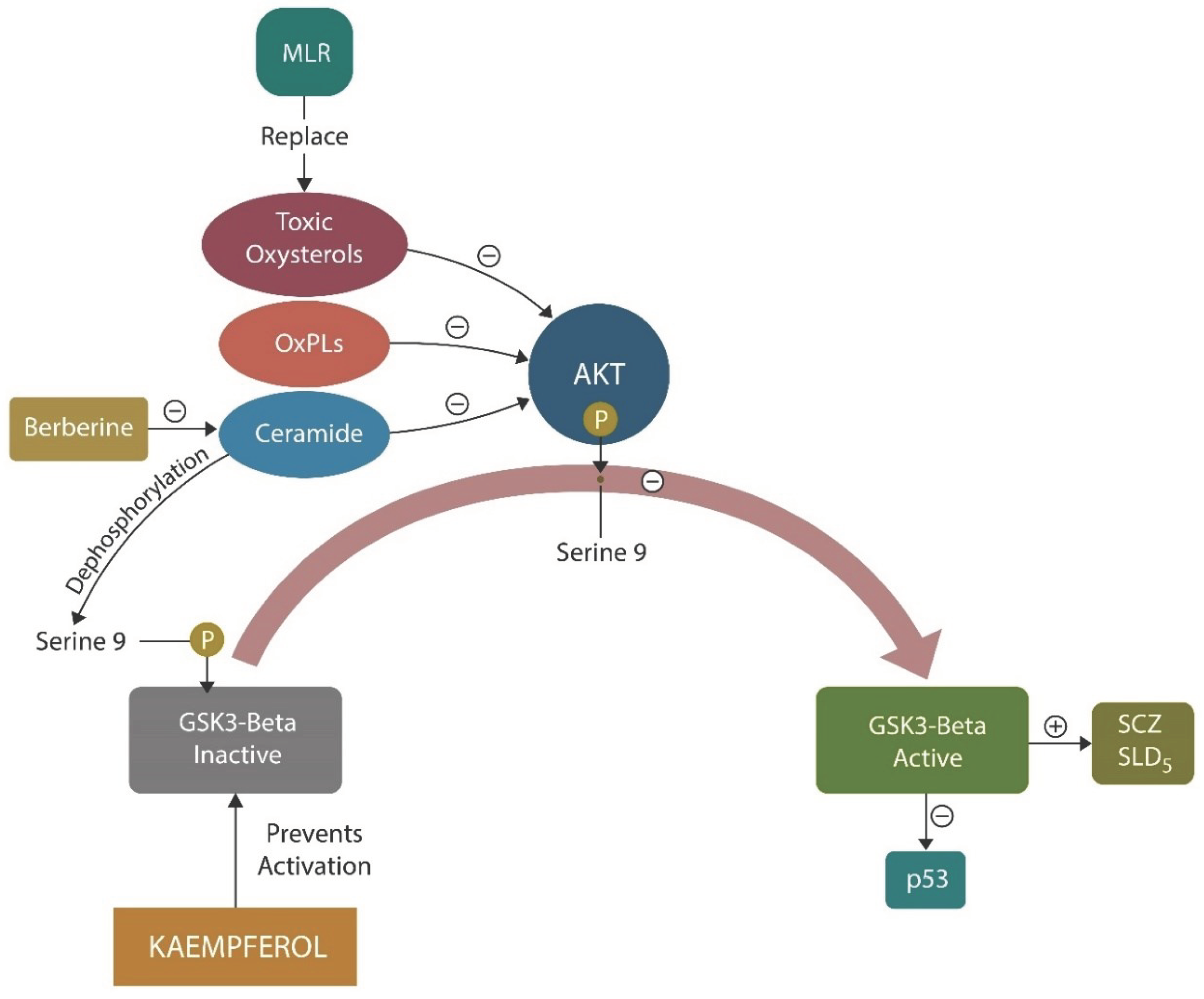 Preprints 102356 g006