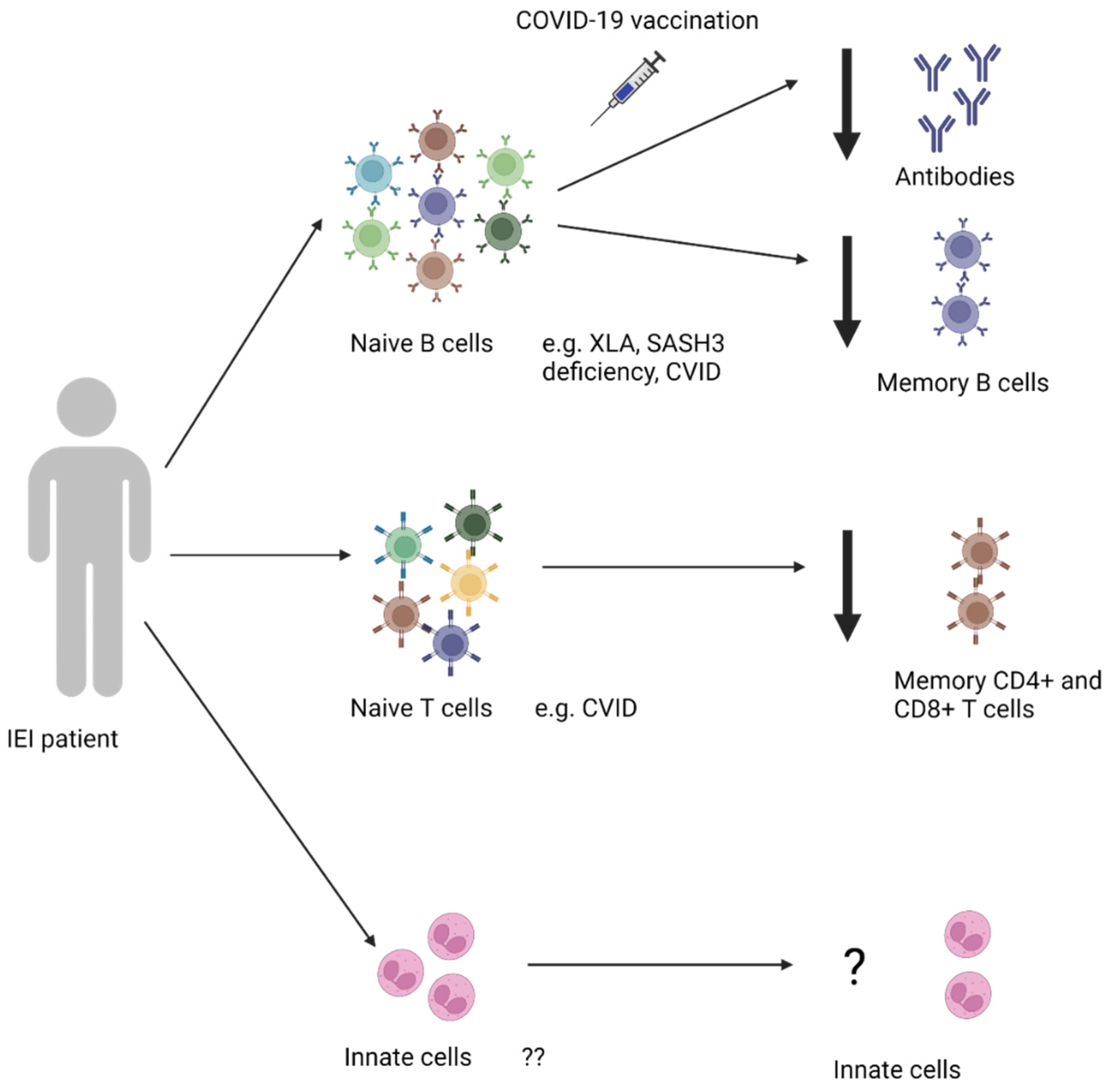 Preprints 105863 g002