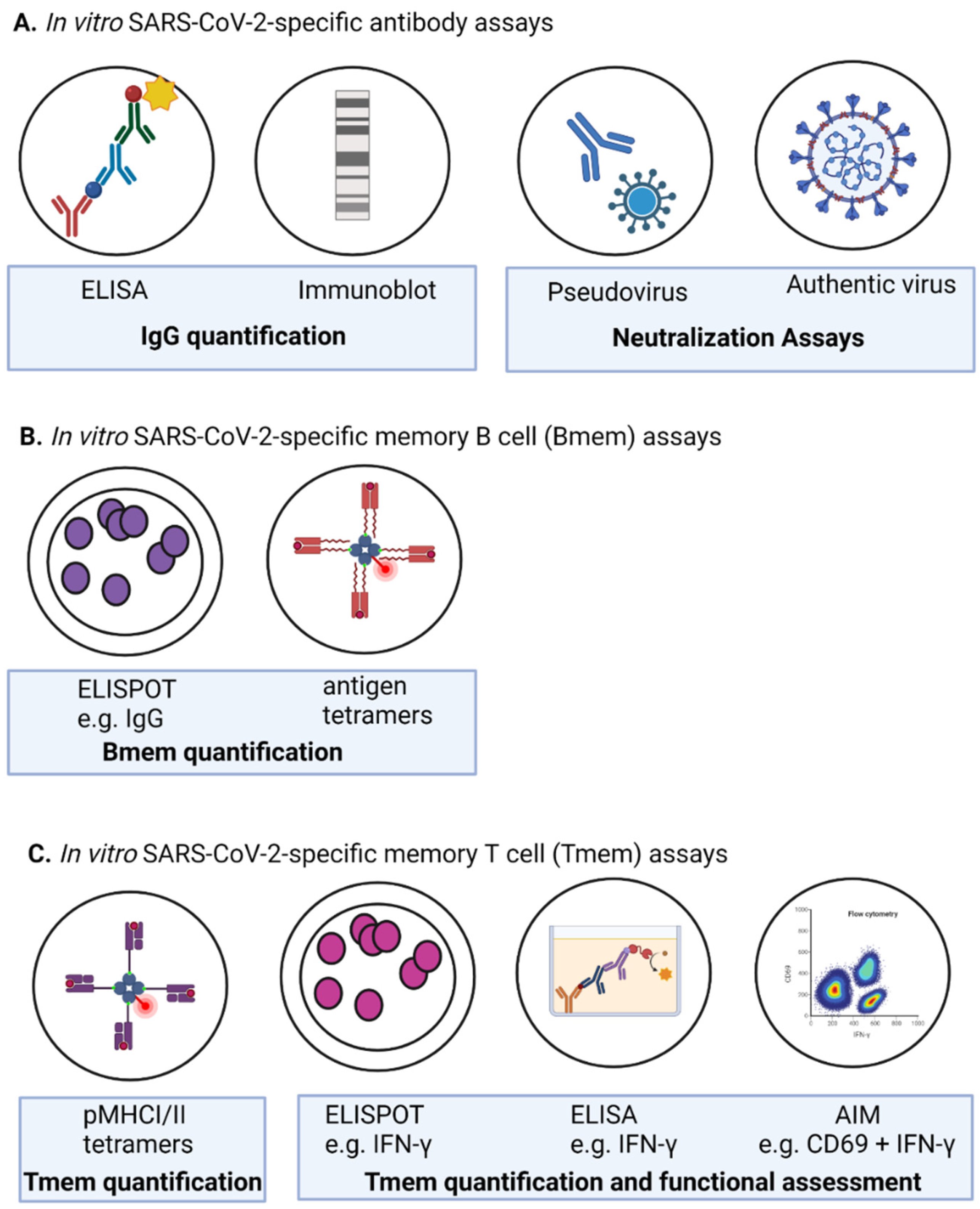 Preprints 105863 g003