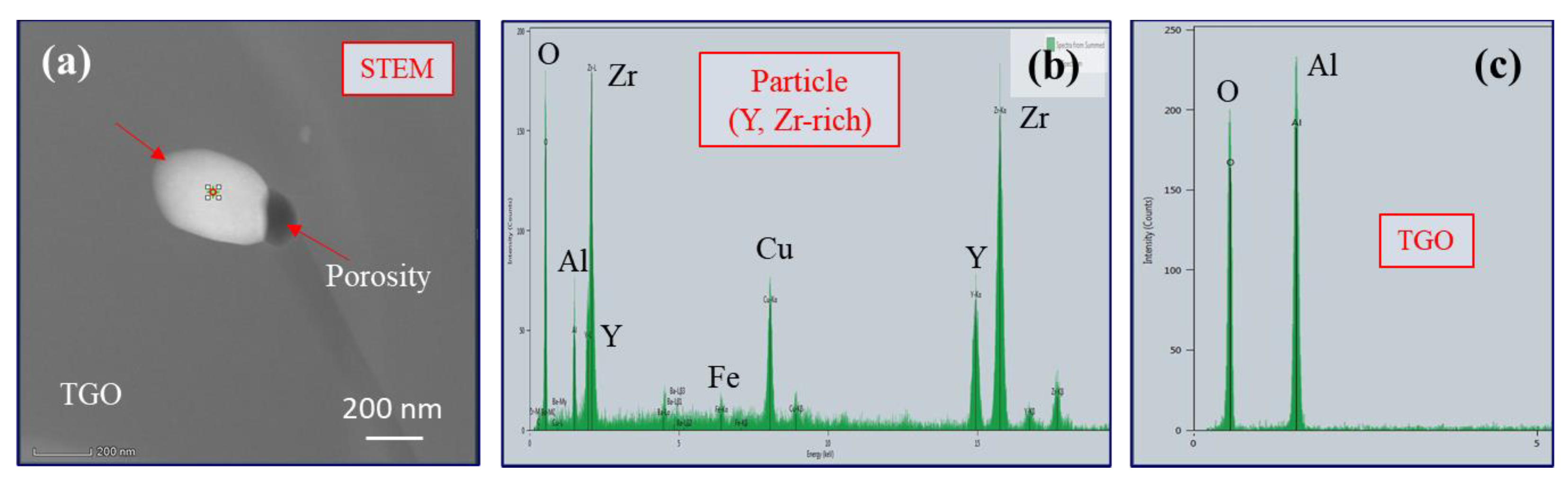 Preprints 70691 g005