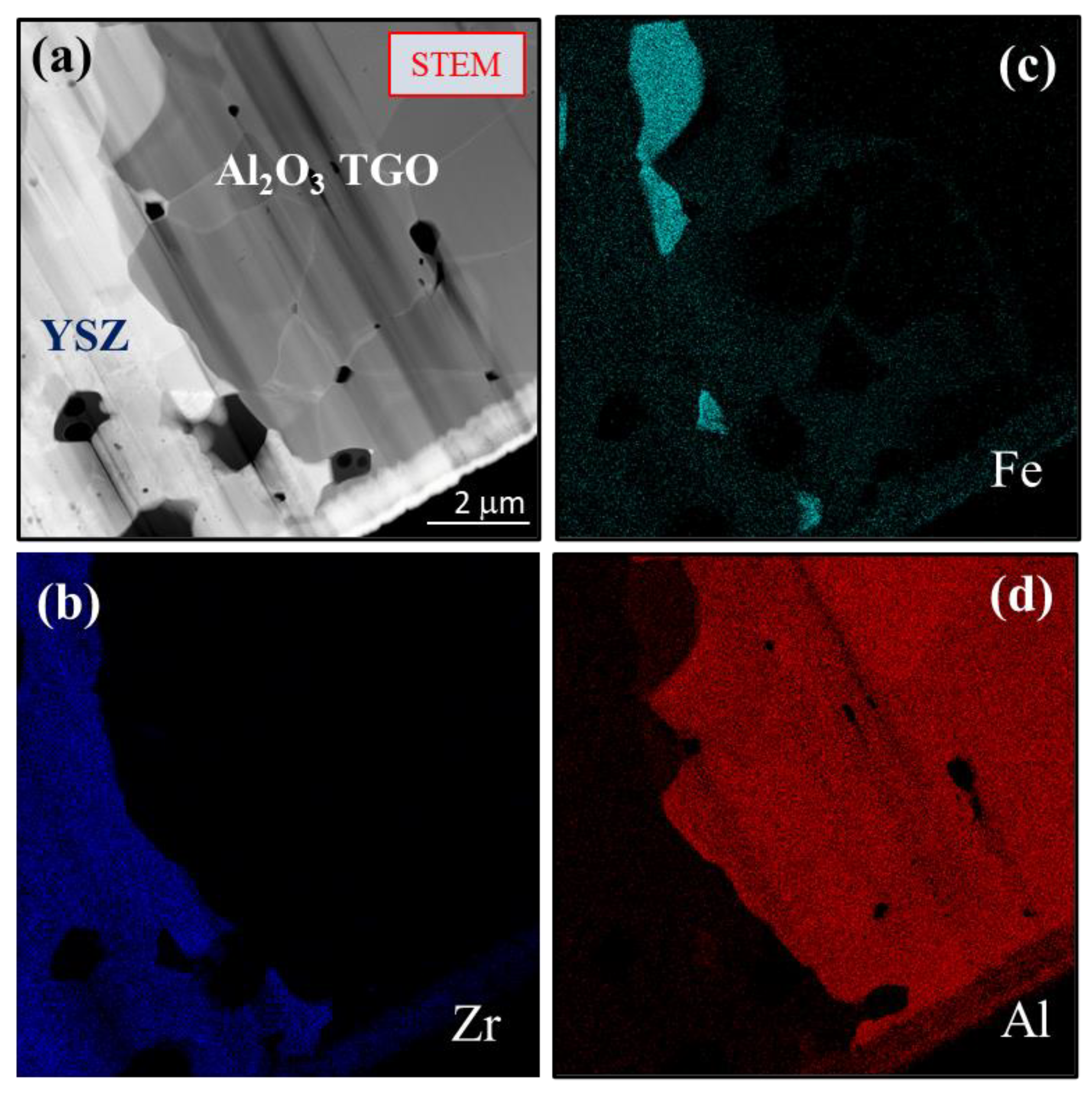 Preprints 70691 g006