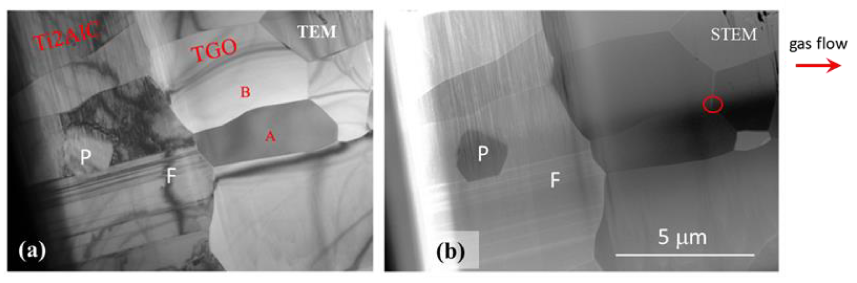 Preprints 70691 g011