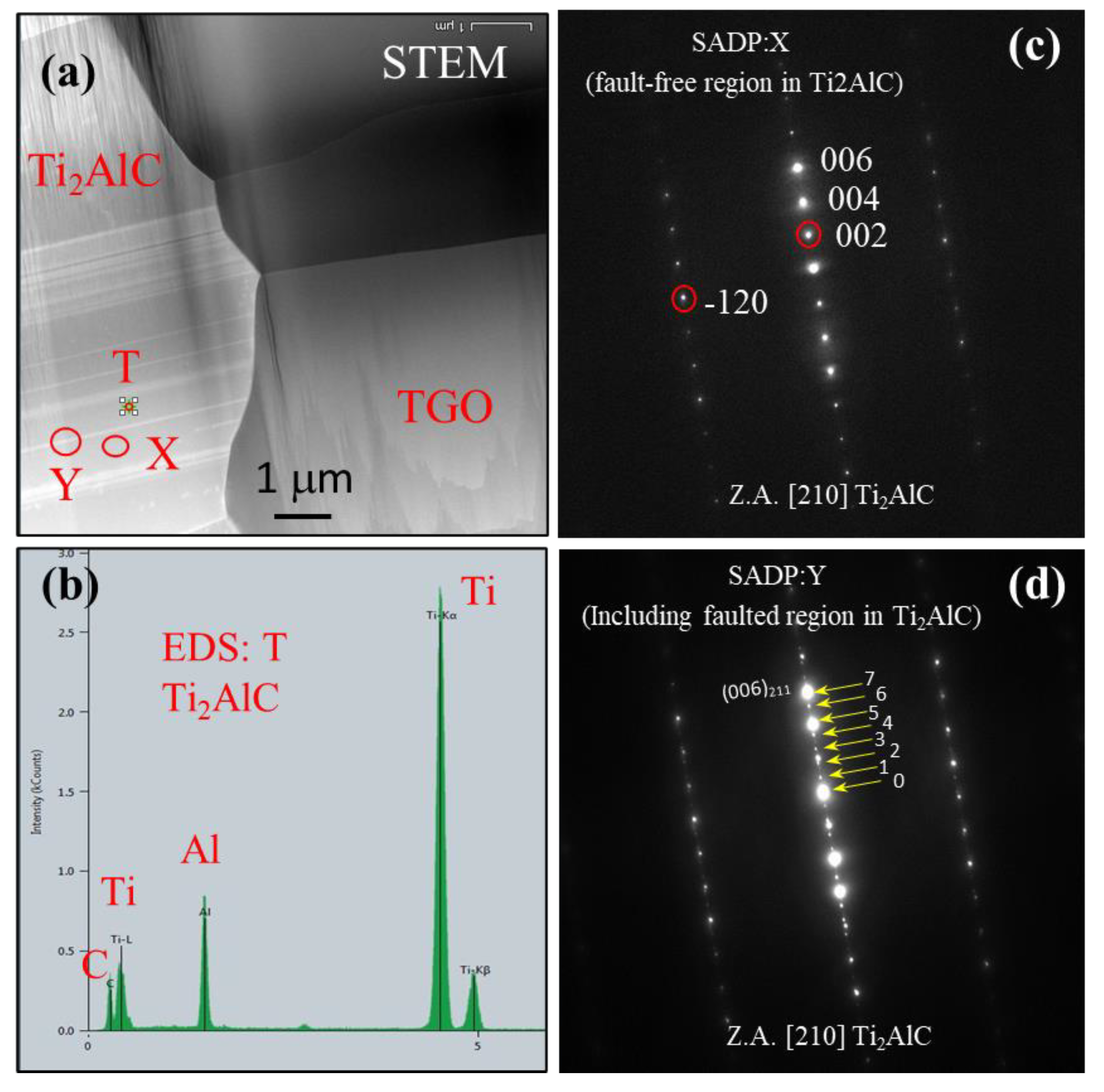 Preprints 70691 g015