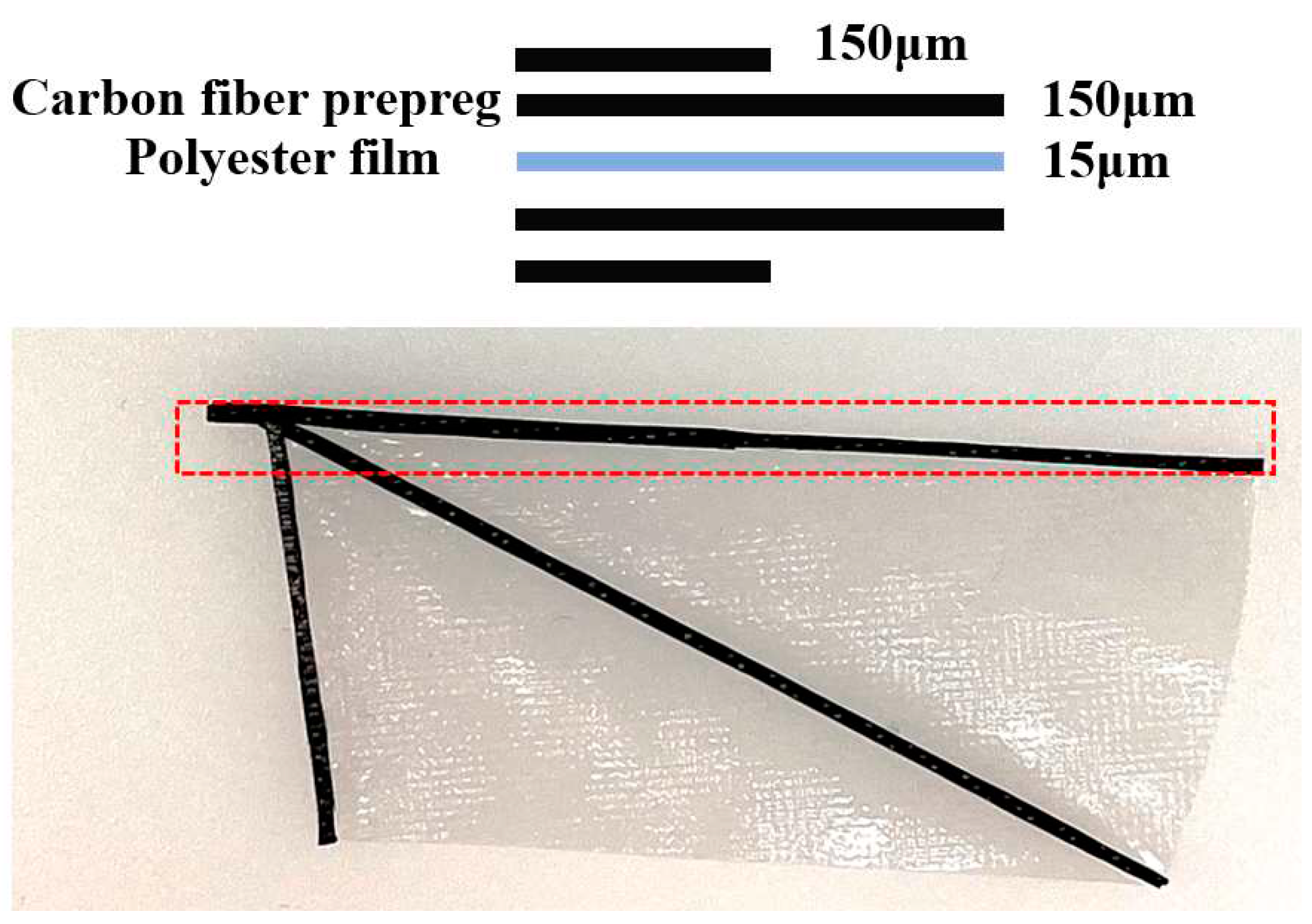 Preprints 72768 g004