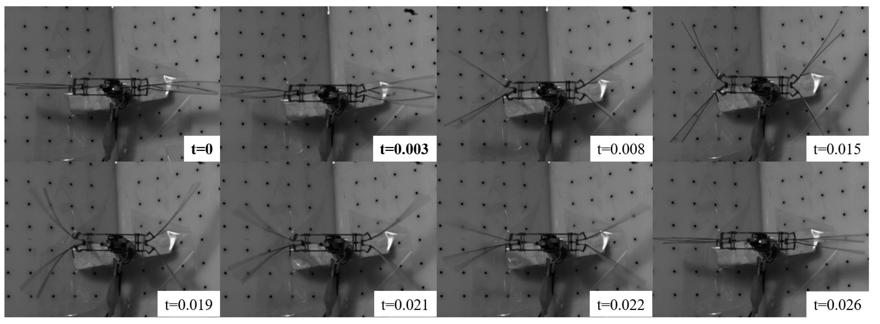 Preprints 72768 g009