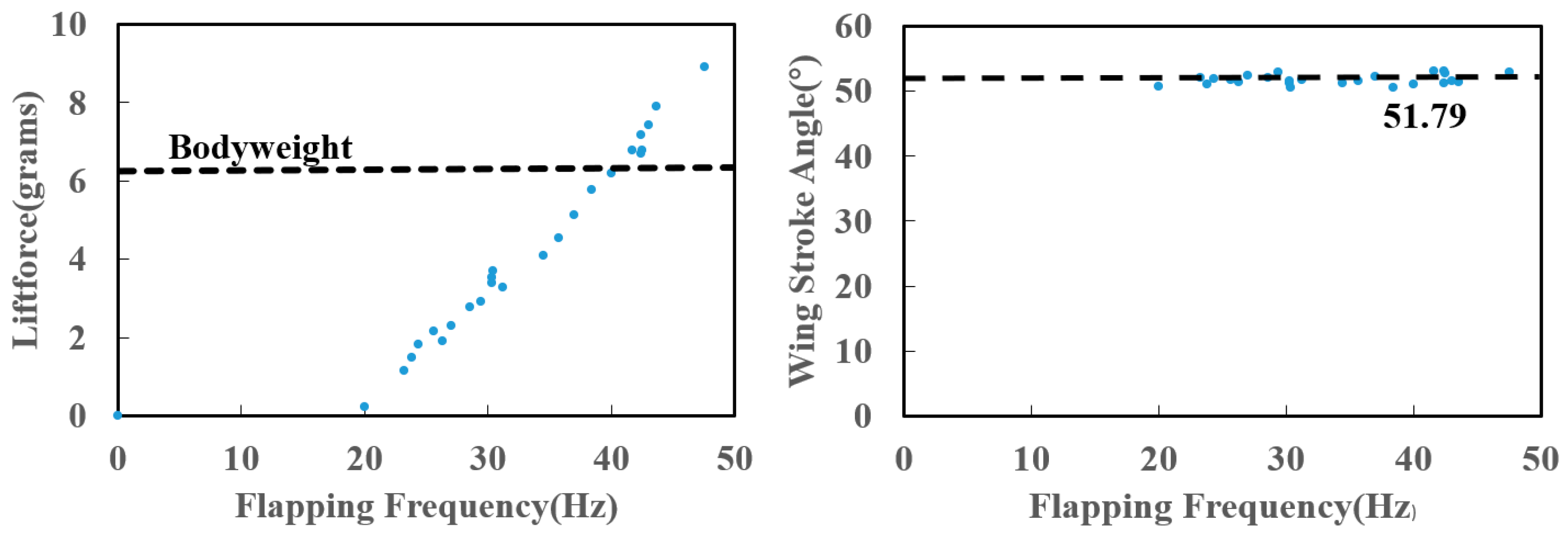 Preprints 72768 g011