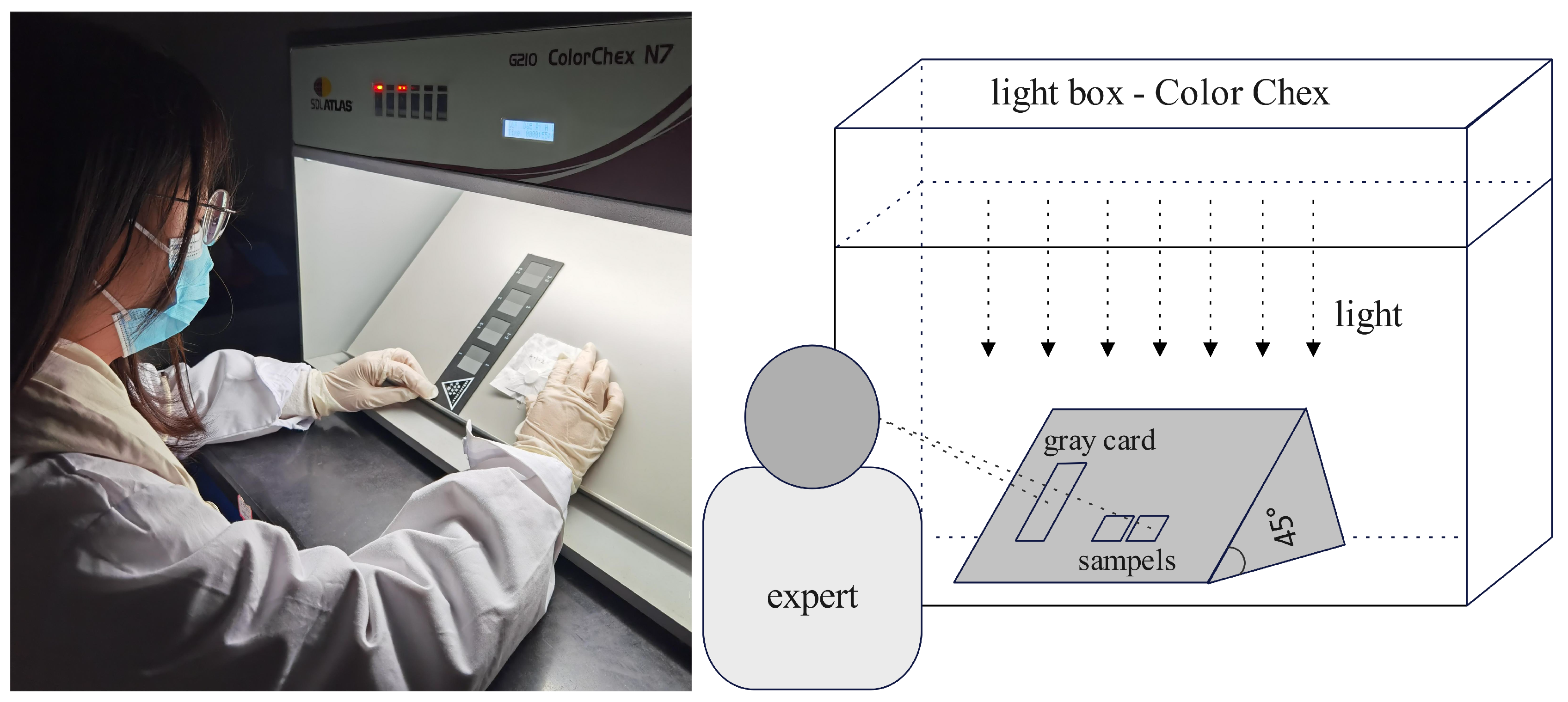 Preprints 80752 g004