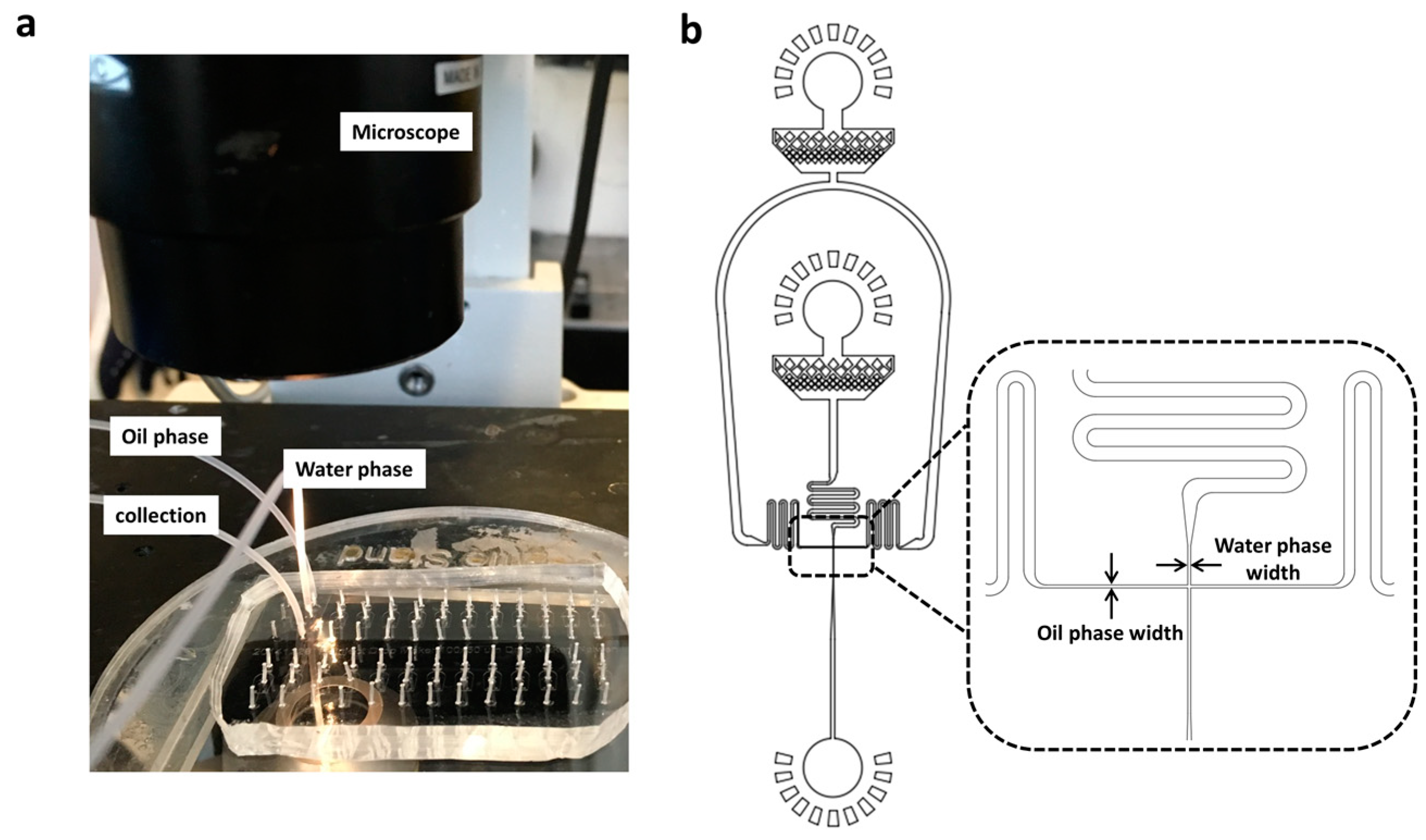 Preprints 84129 g001a