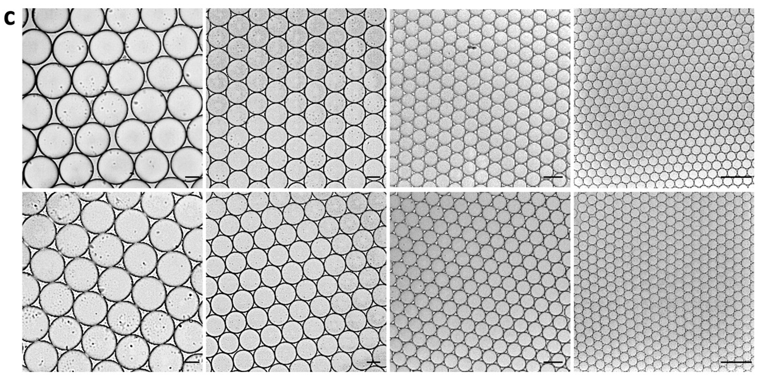 Preprints 84129 g001b