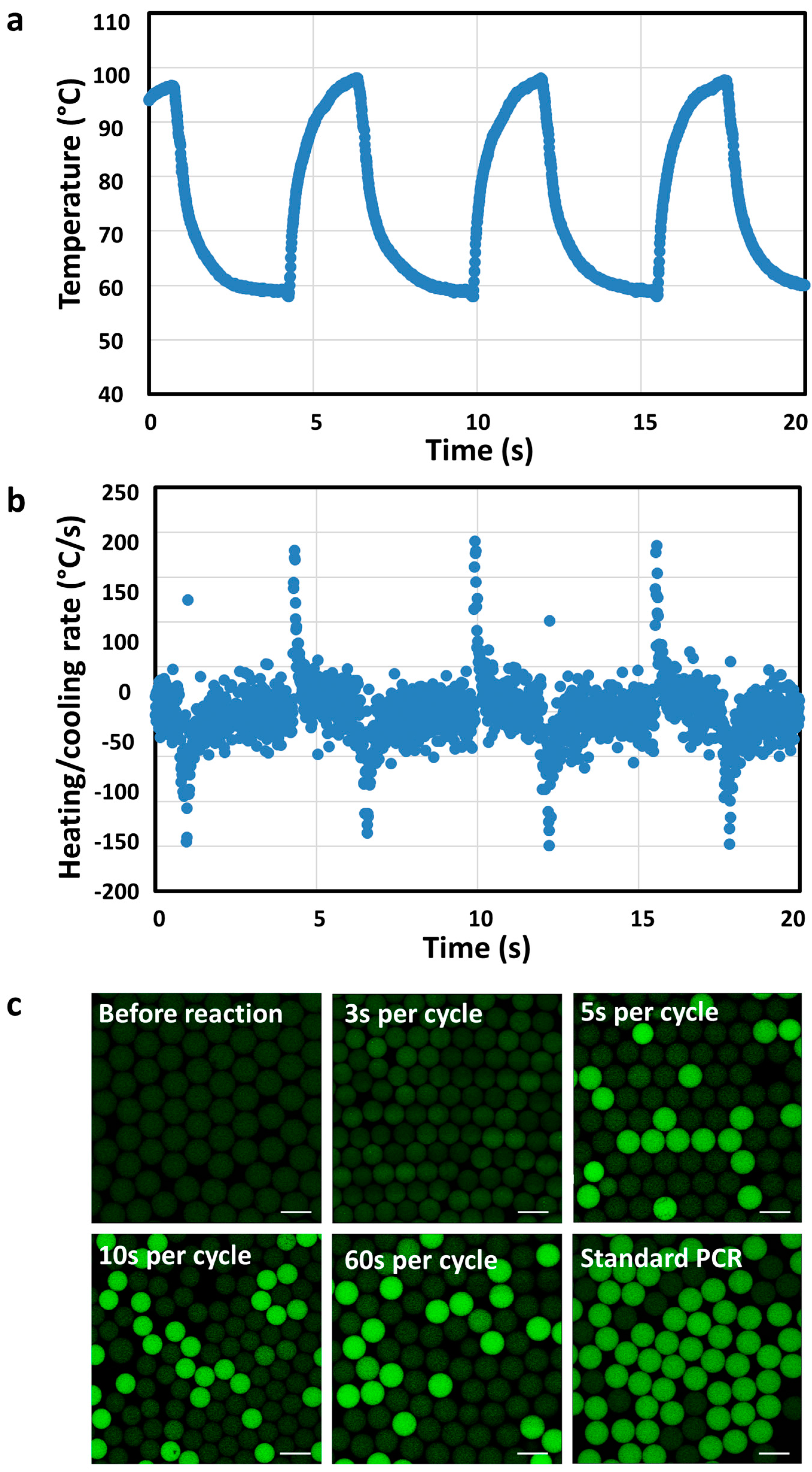 Preprints 84129 g002