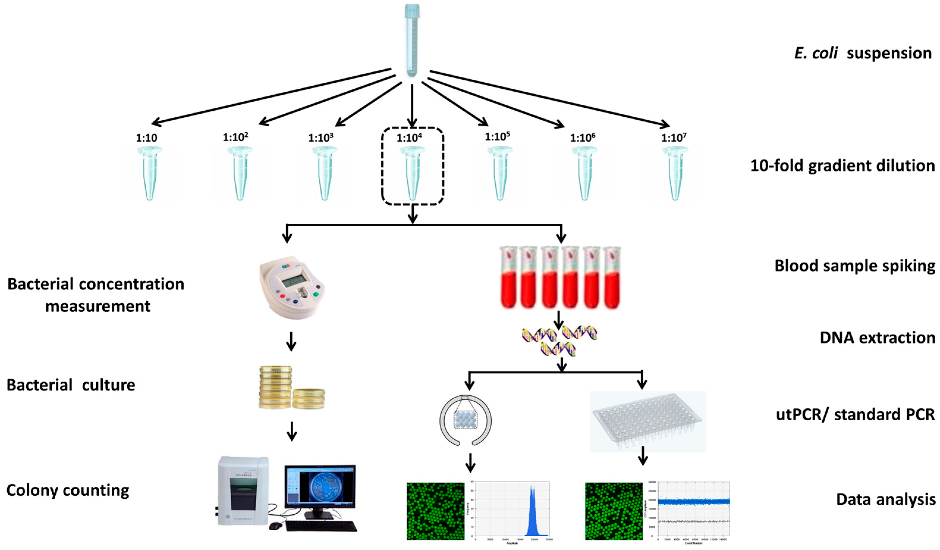 Preprints 84129 g004