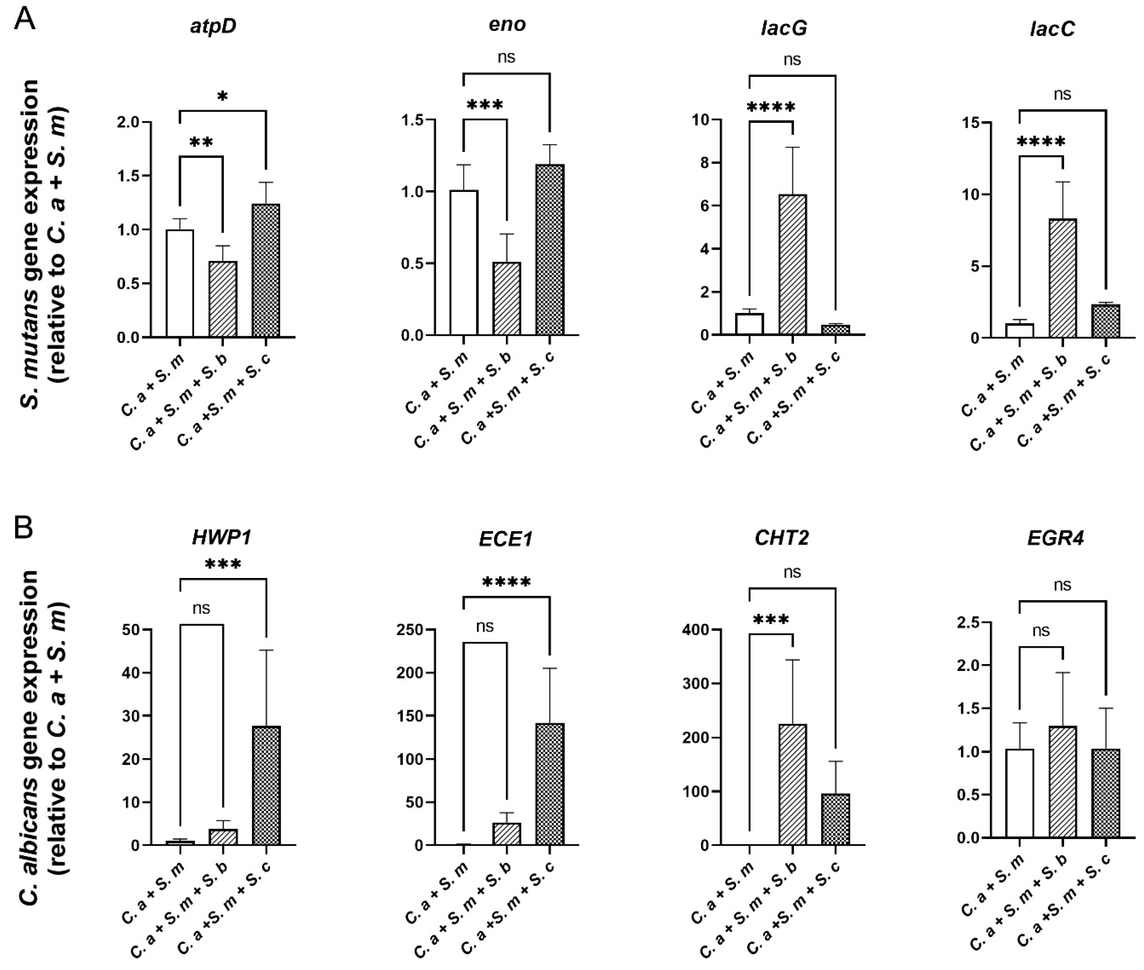 Preprints 96093 g006