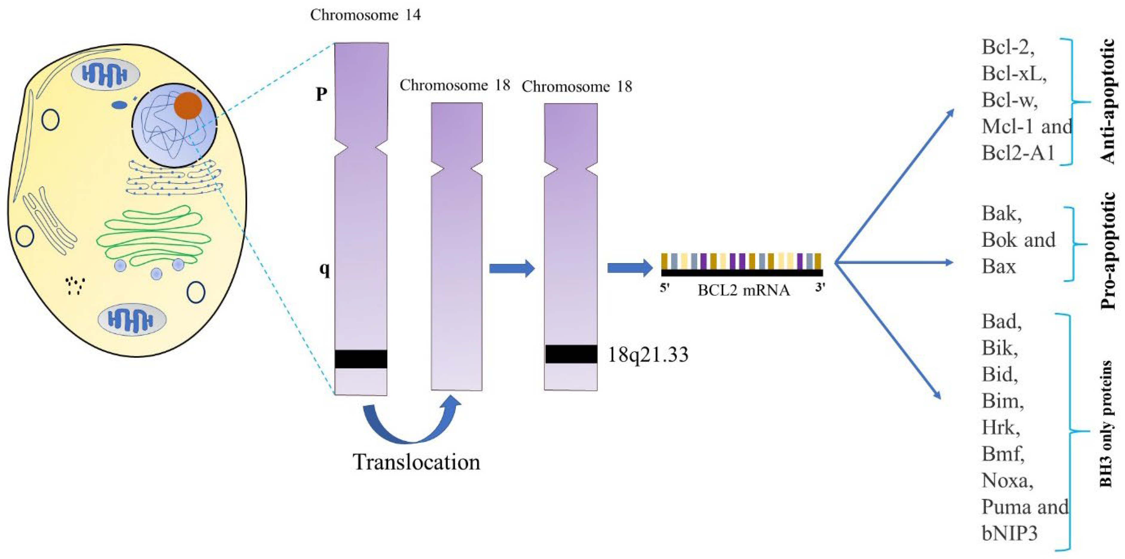 Preprints 68969 g001