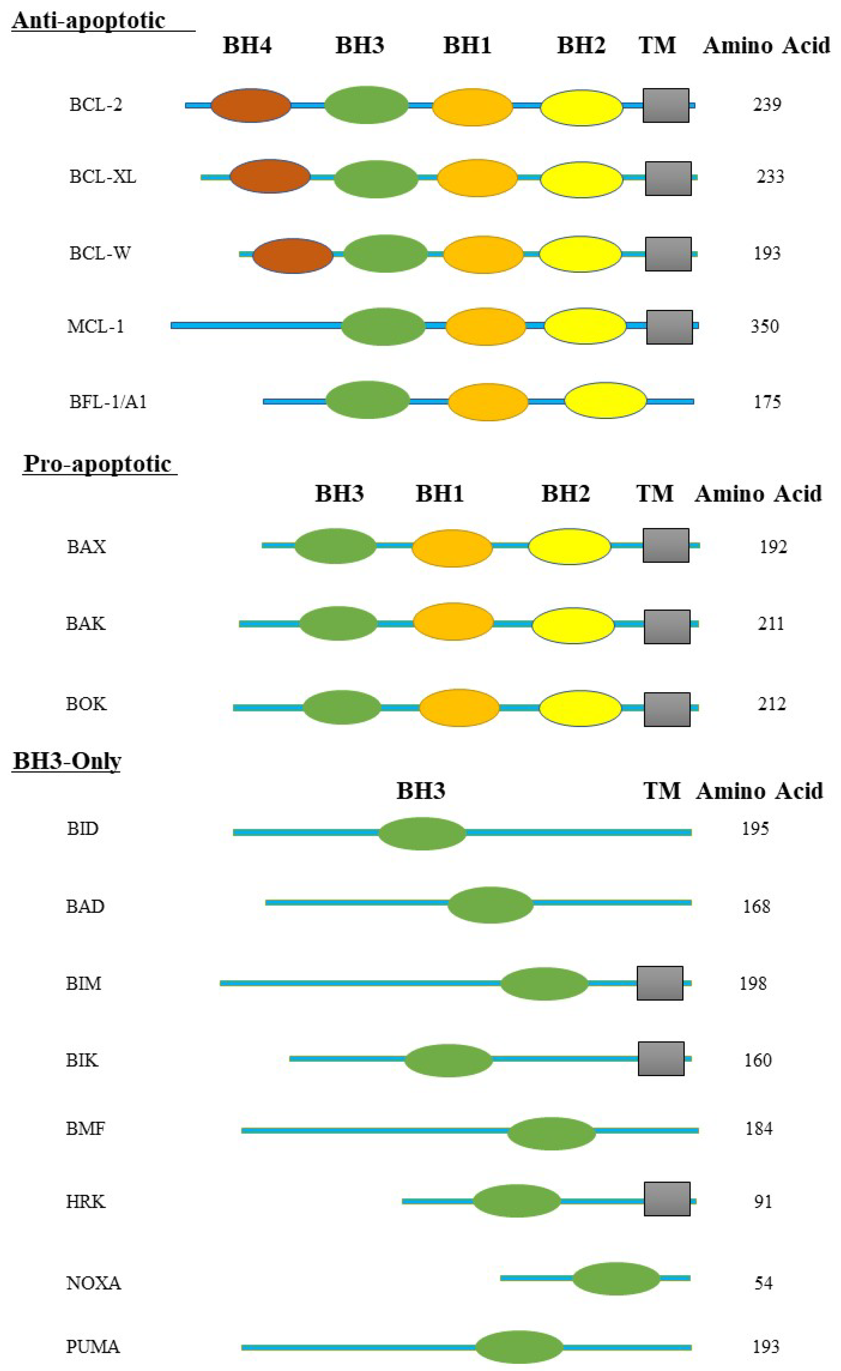 Preprints 68969 g002