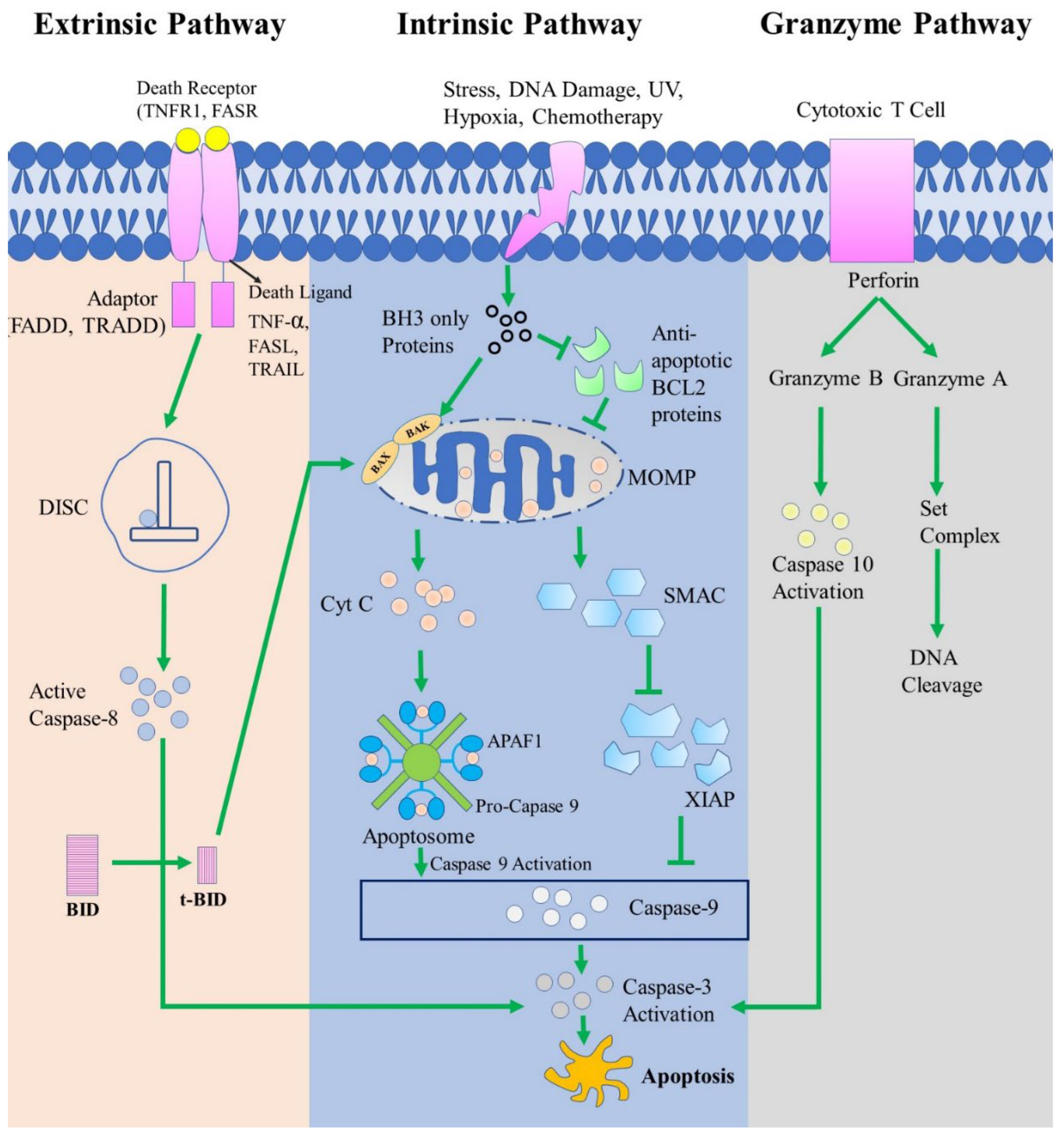 Preprints 68969 g003