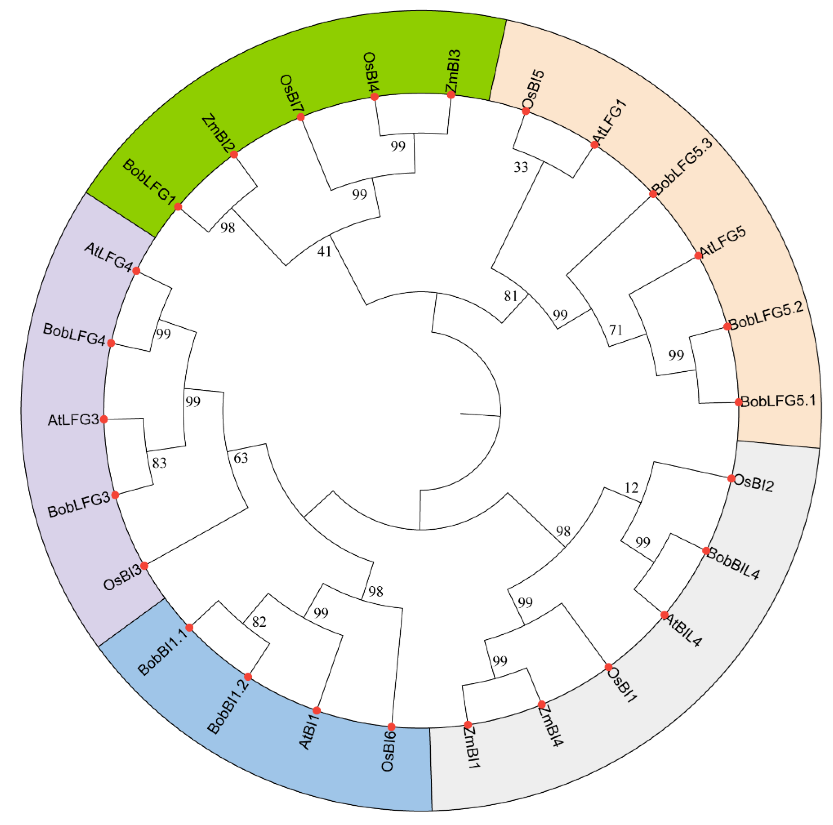 Preprints 115718 g001