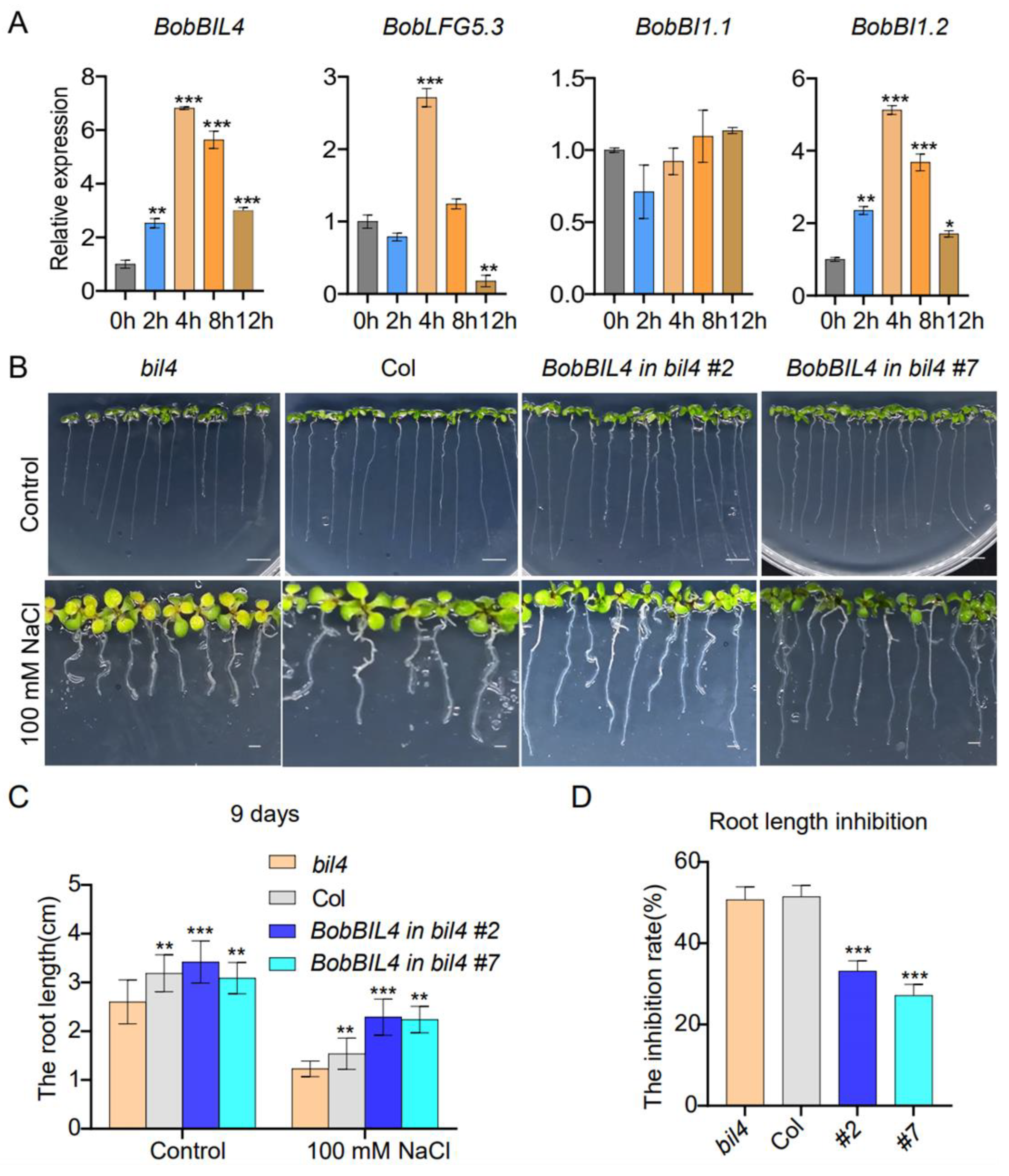 Preprints 115718 g006